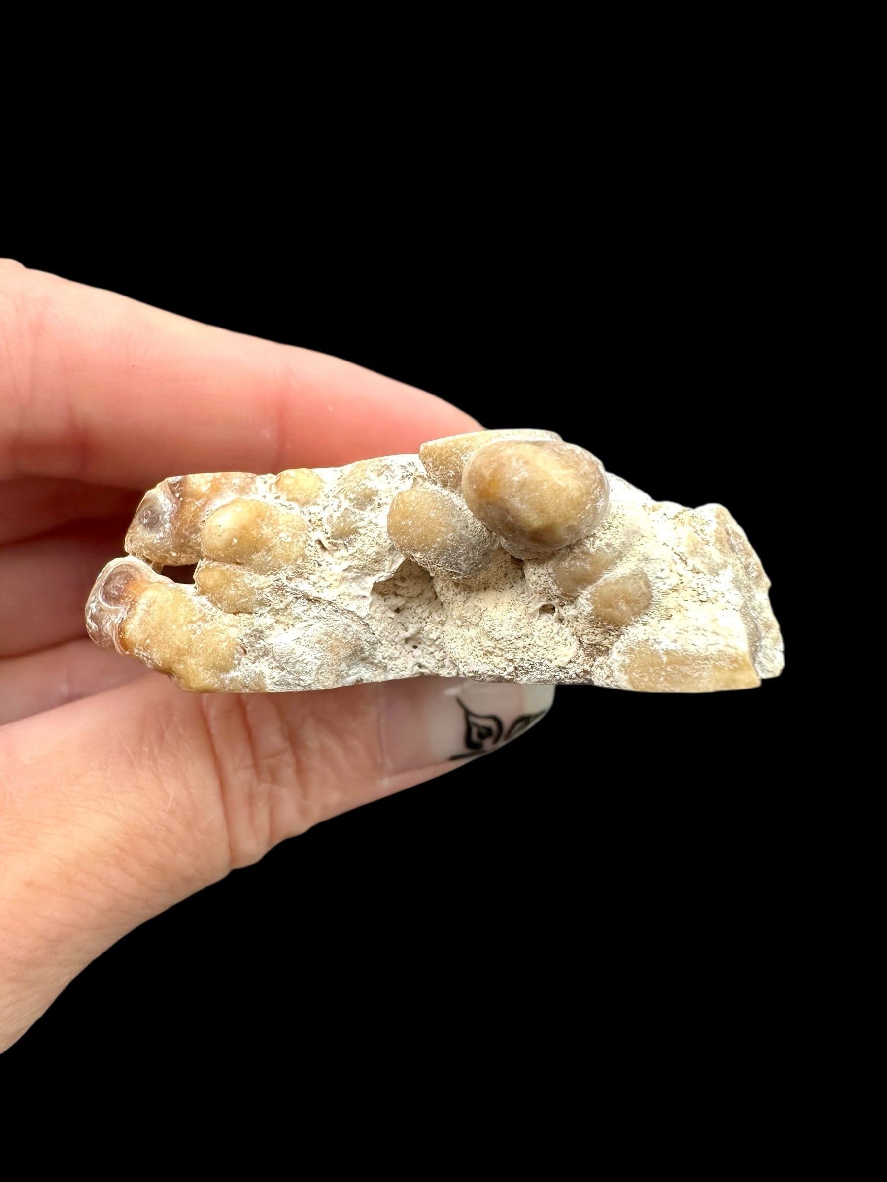 Cave calcite – Morocco - KAL035