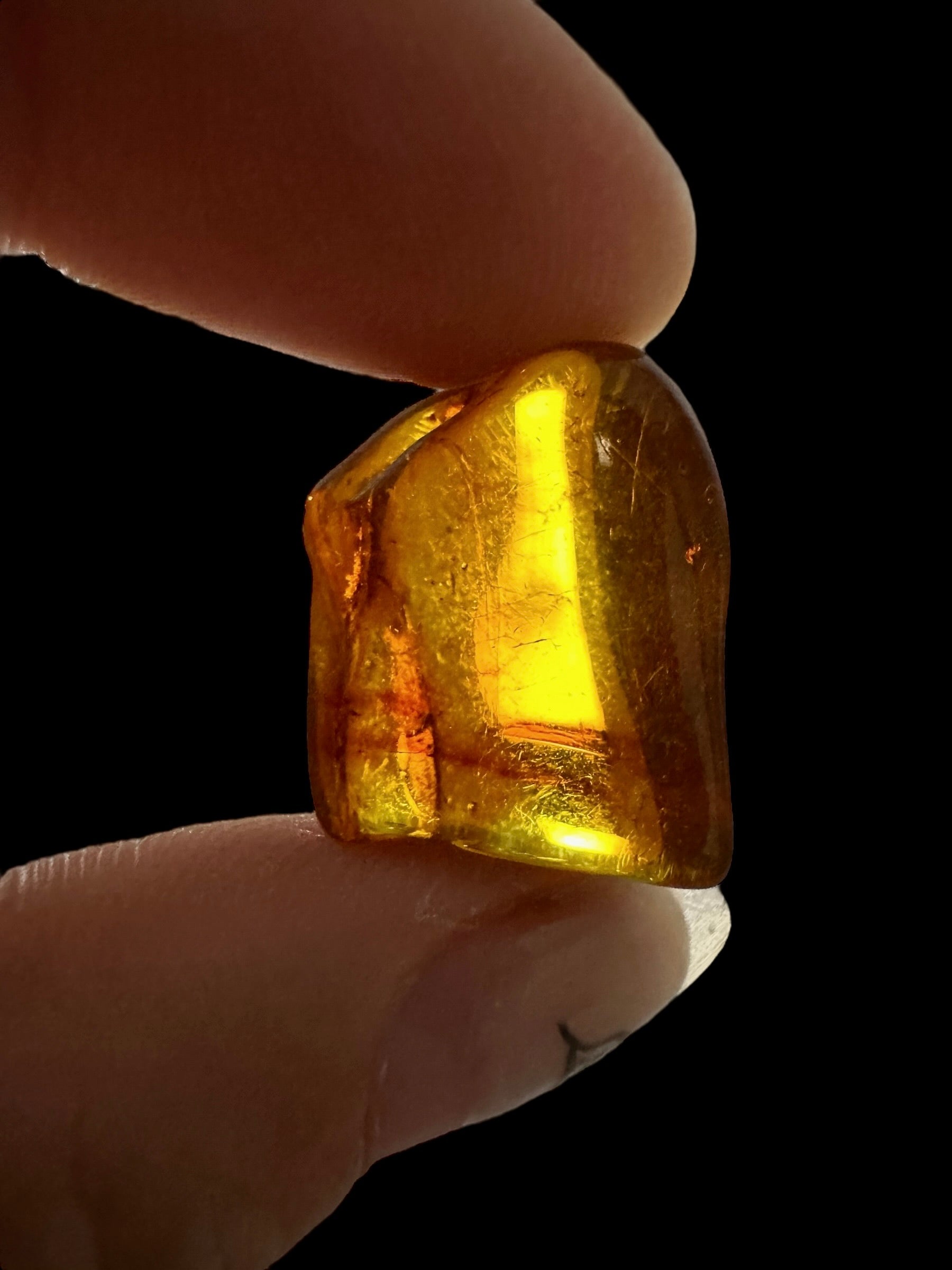 Amber – Lithuania – 1,7g - JN455