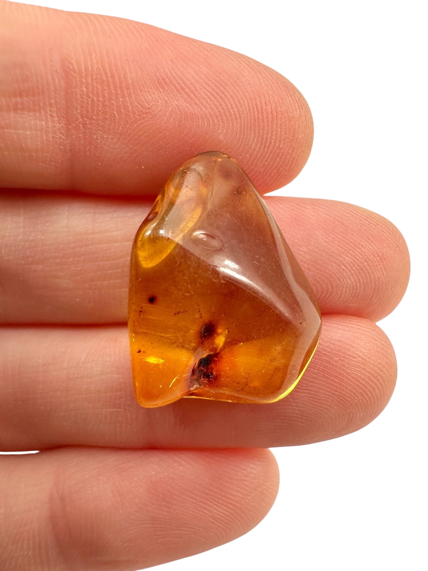 Amber – Lithuania – 1,5g - JN456