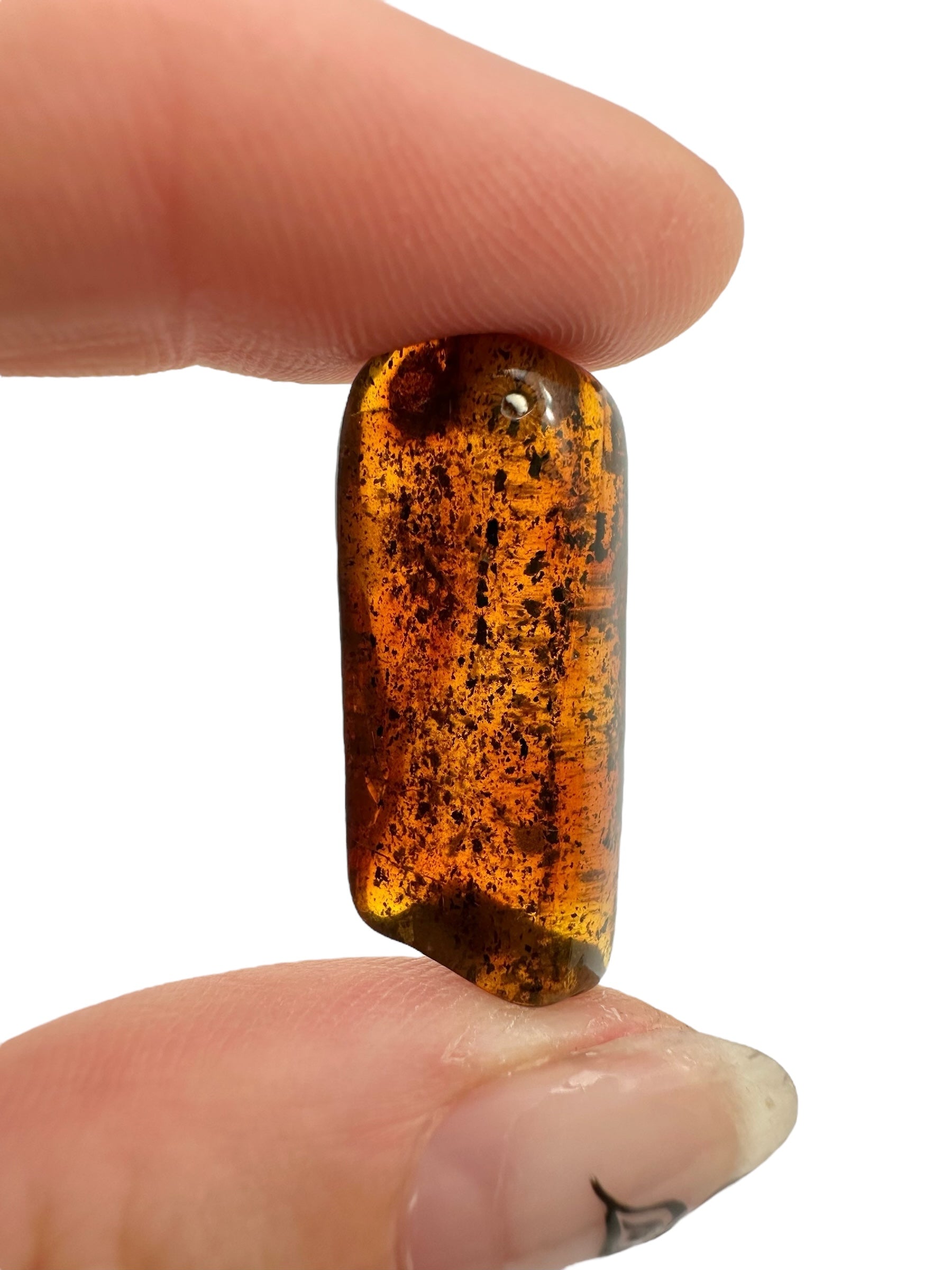 Amber – Lithuania – 2g - JN457