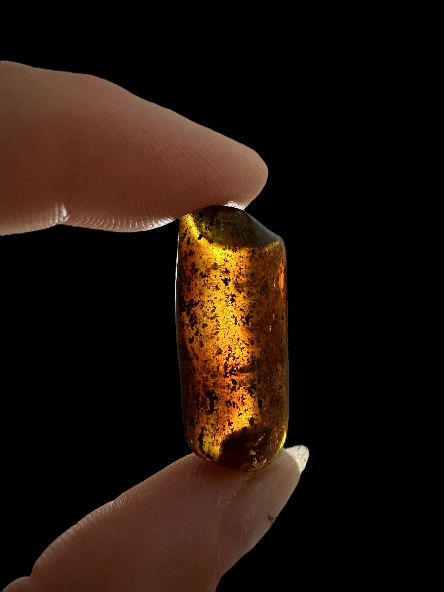 Amber – Lithuania – 2g - JN457