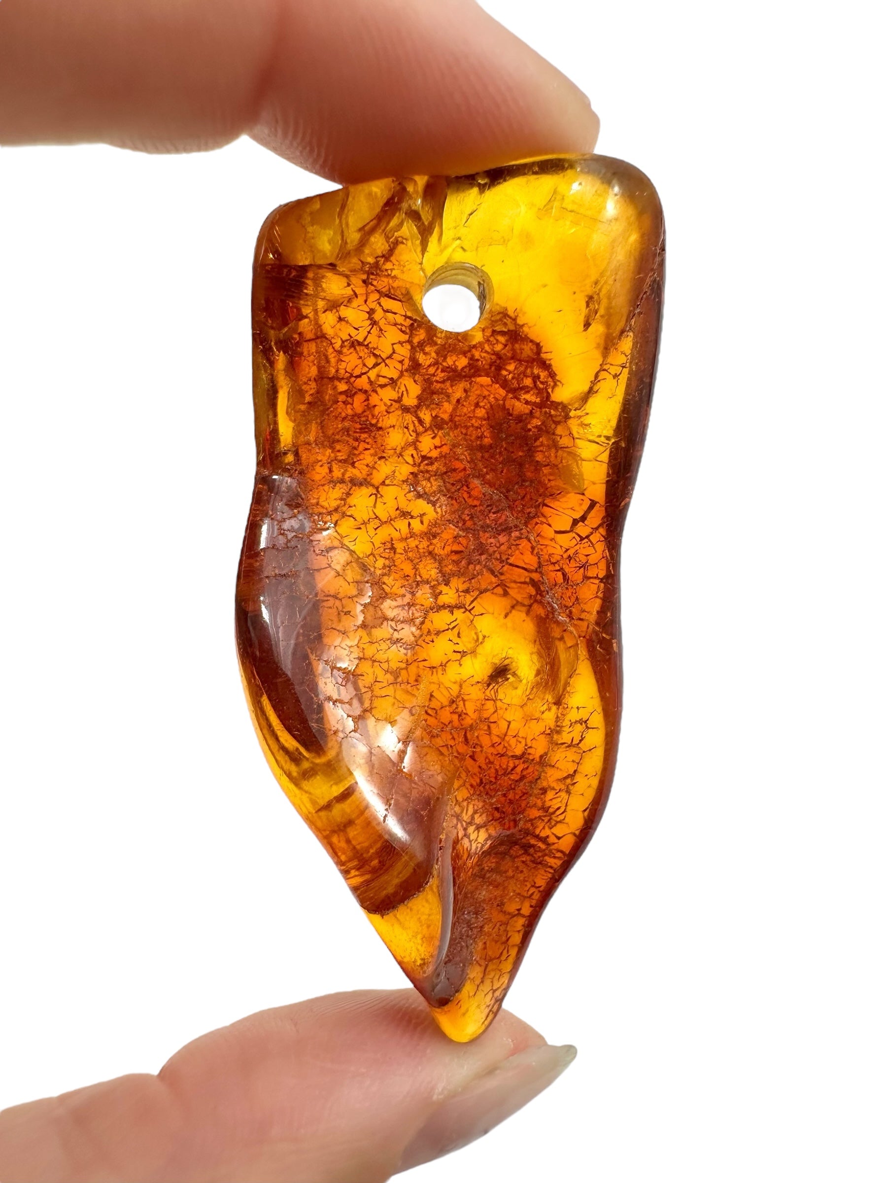 Insect in amber with a drilled hole for hanging 11,5g – Lithuania - IJD09