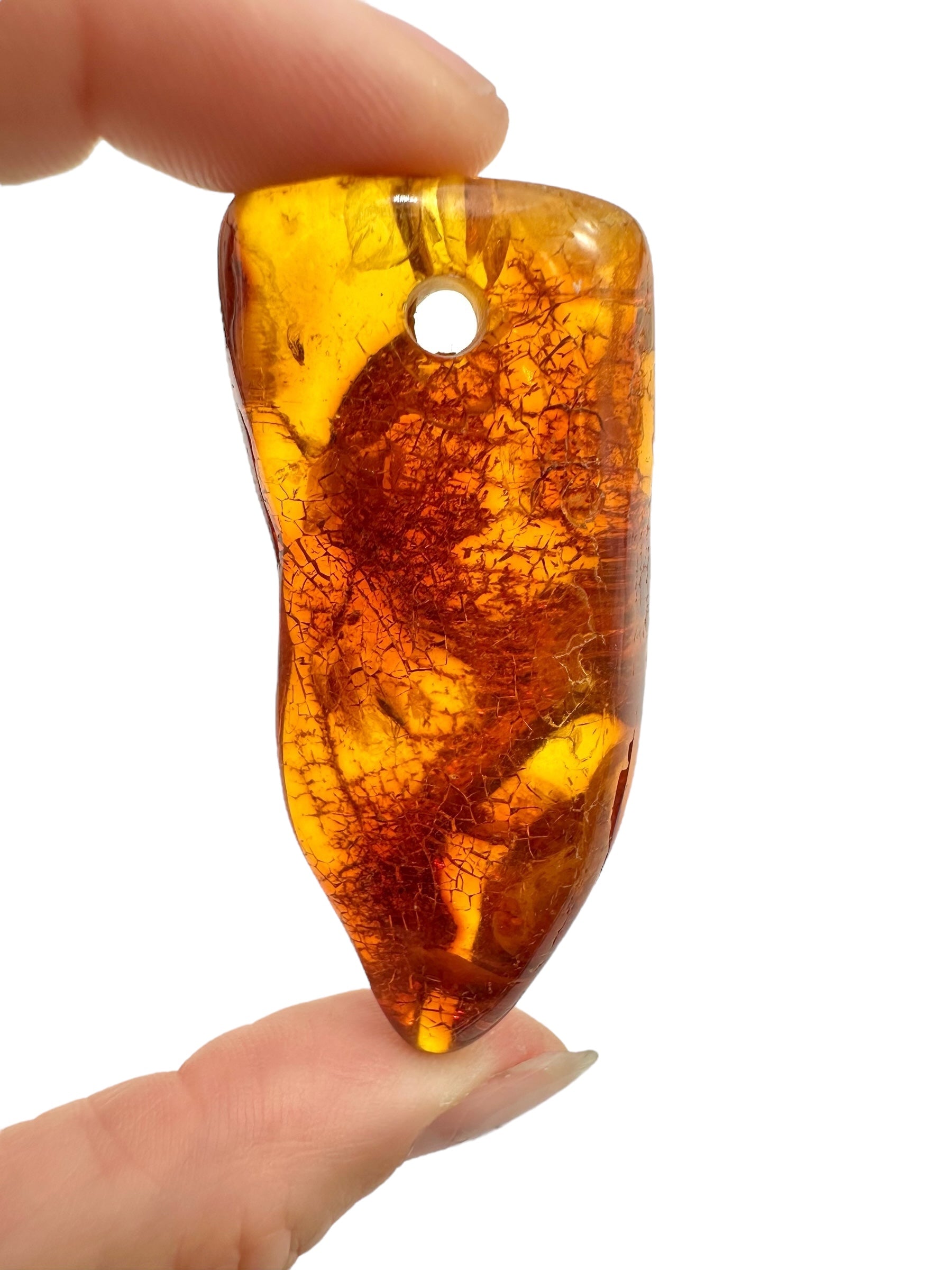 Insect in amber with a drilled hole for hanging 11,5g – Lithuania