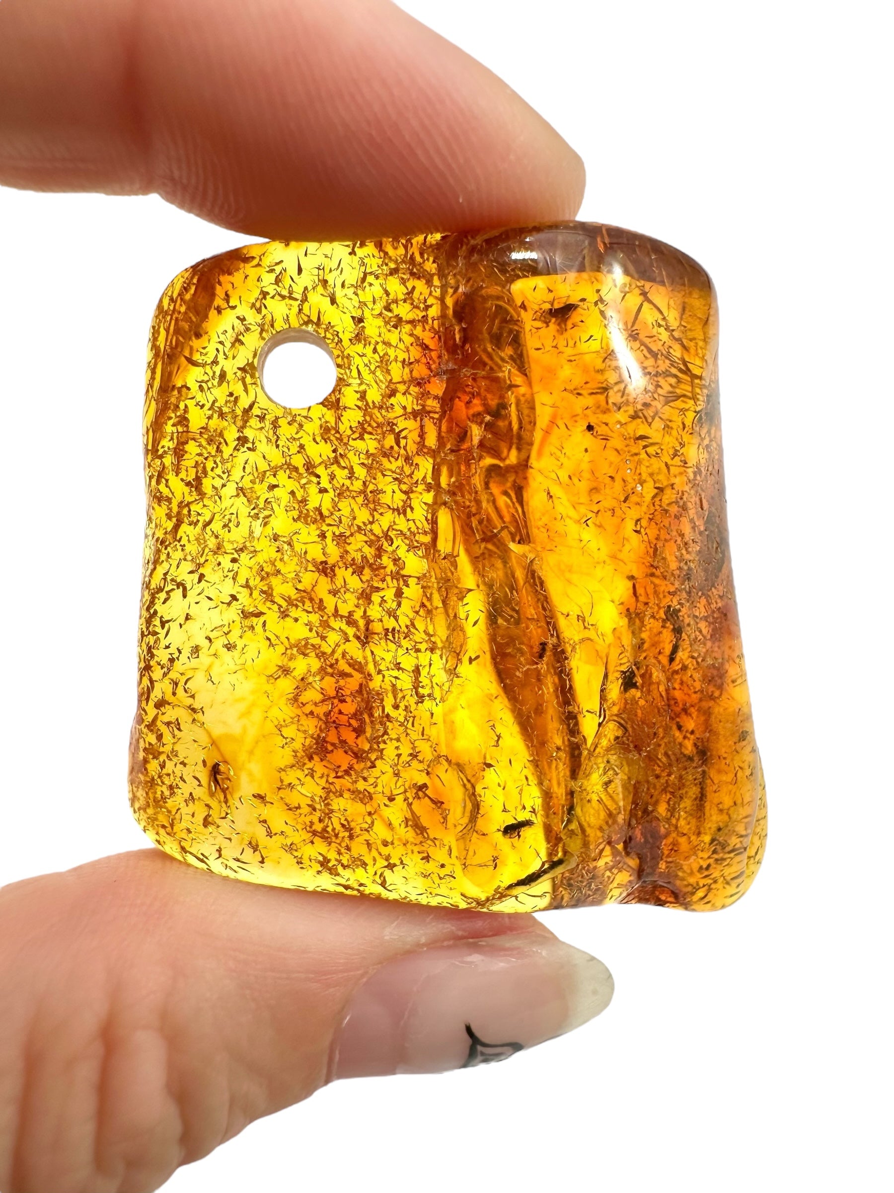 Insect in amber with a drilled hole for hanging 10,4g – Lithuania - IJD10