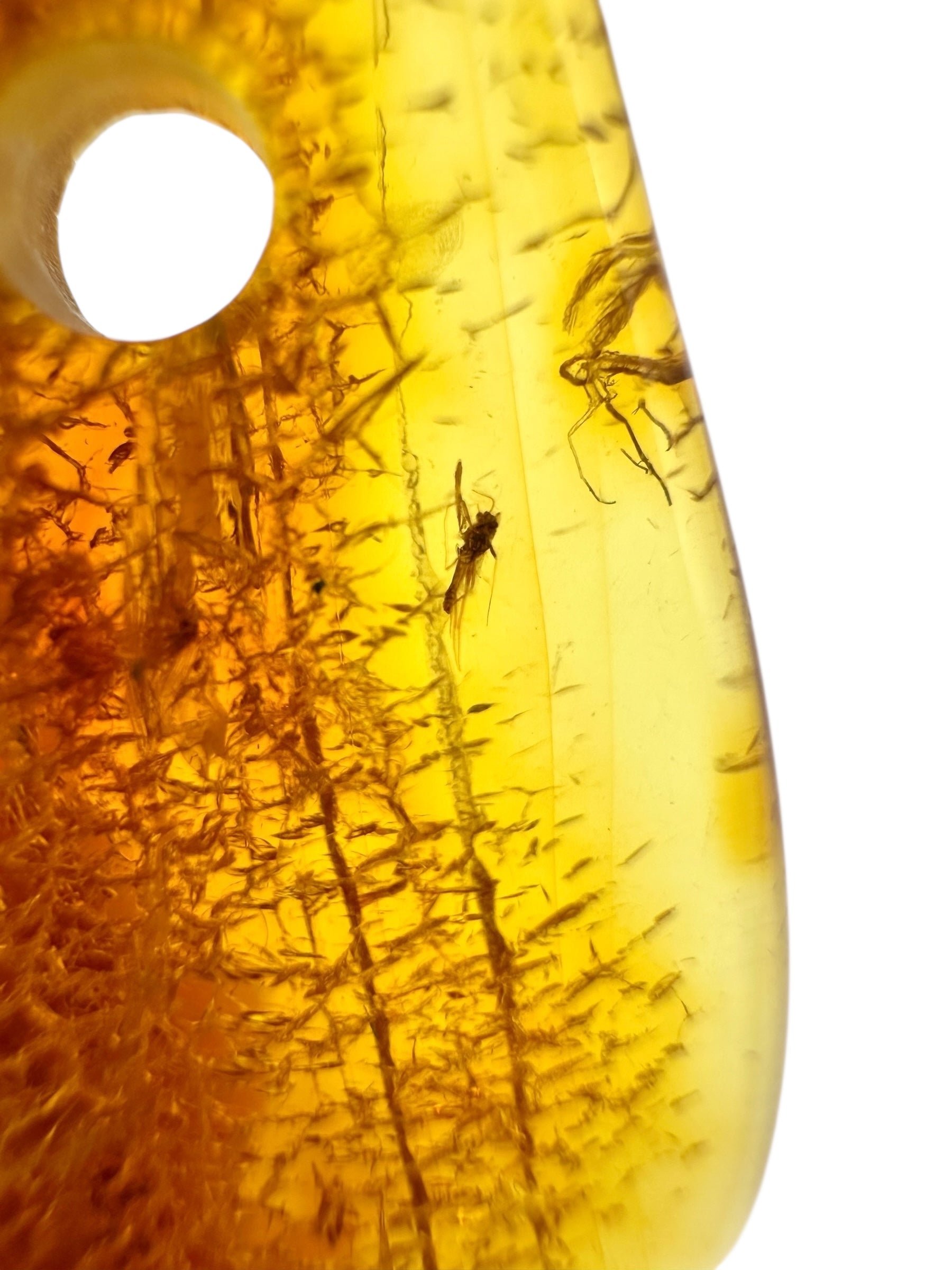 Insect in amber with a drilled hole for hanging 2,6g – Lithuania - IJD12