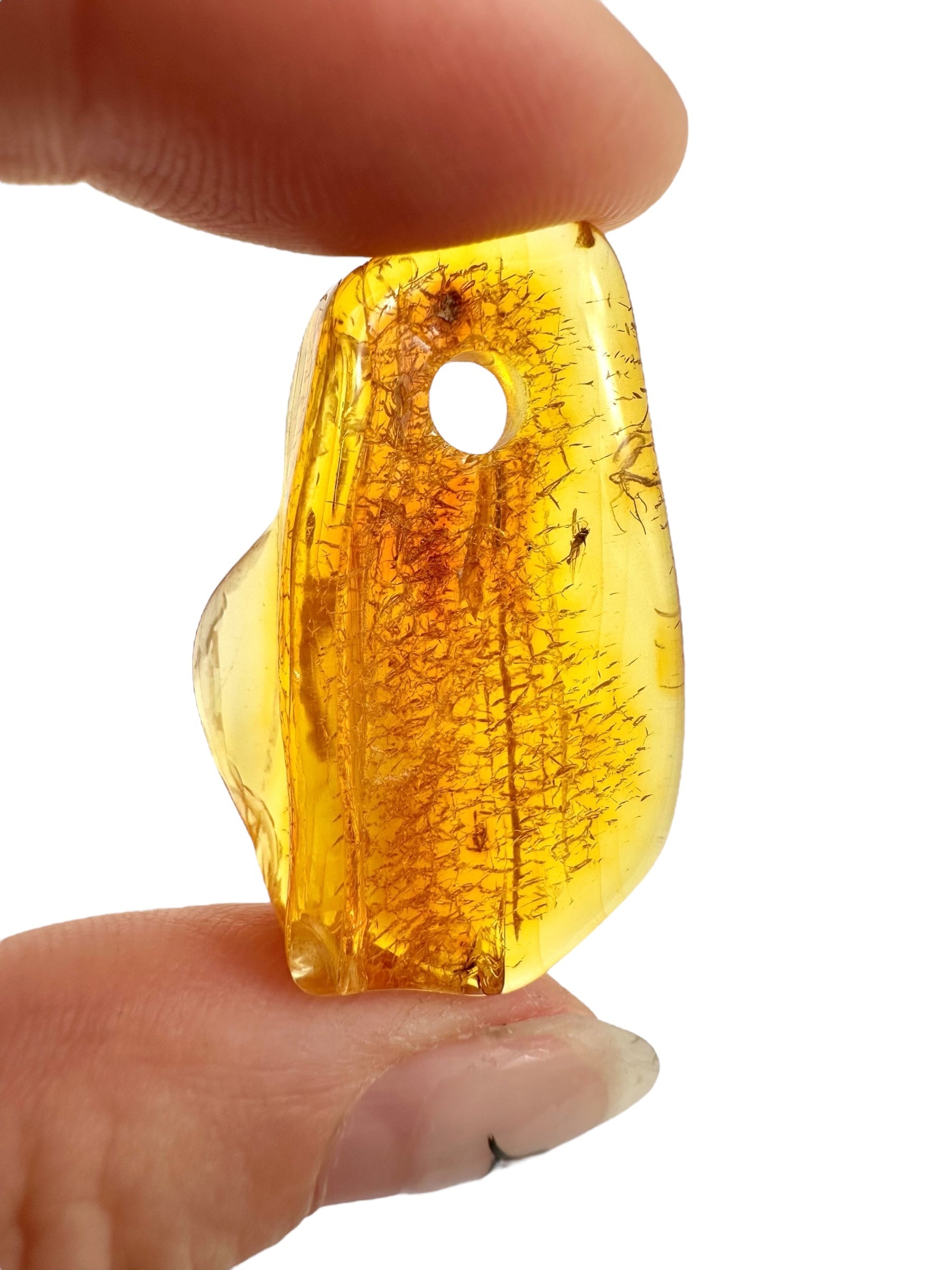 Insect in amber with a drilled hole for hanging 2,6g – Lithuania - IJD12