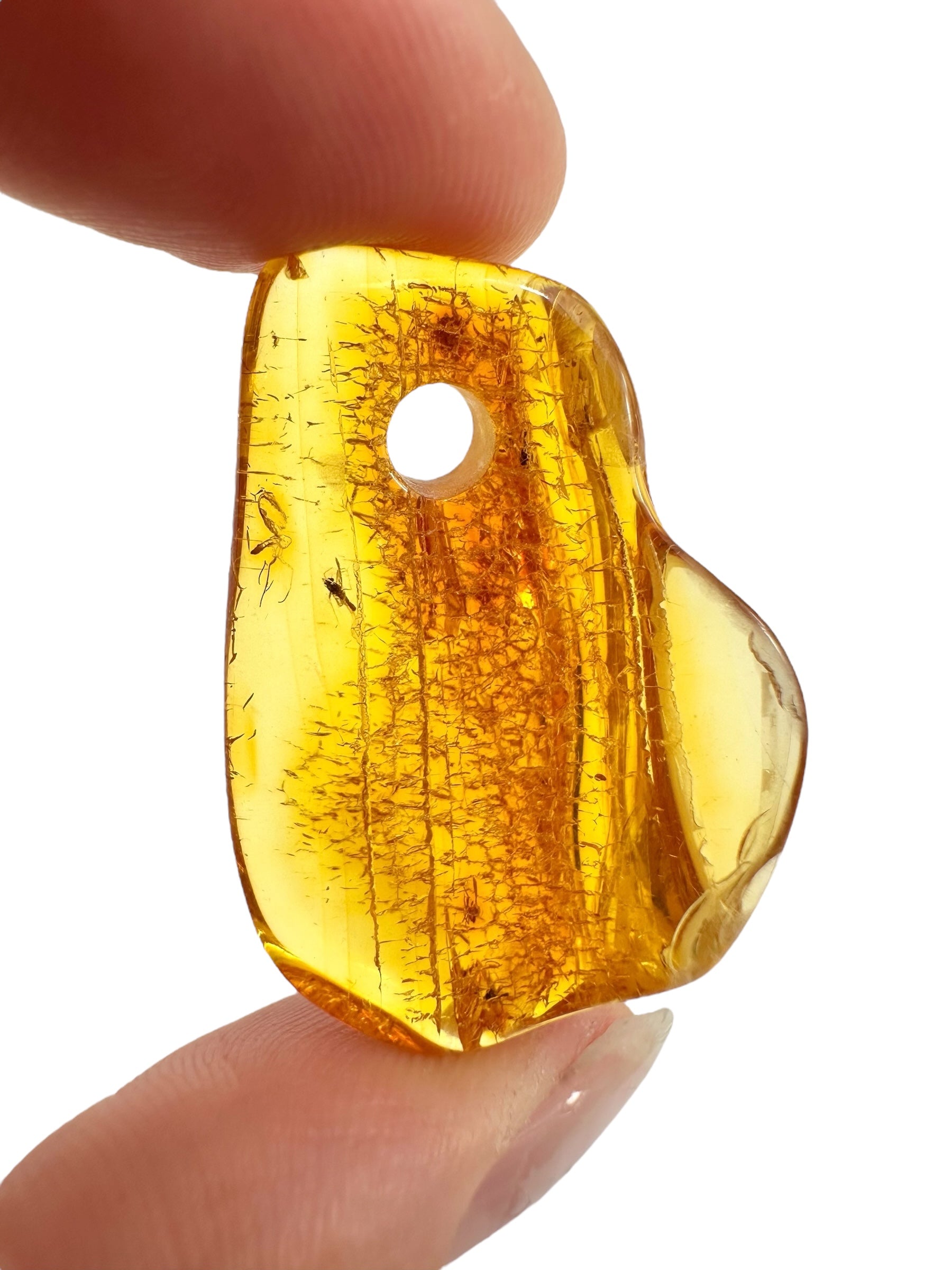 Insect in amber with a drilled hole for hanging 2,6g – Lithuania