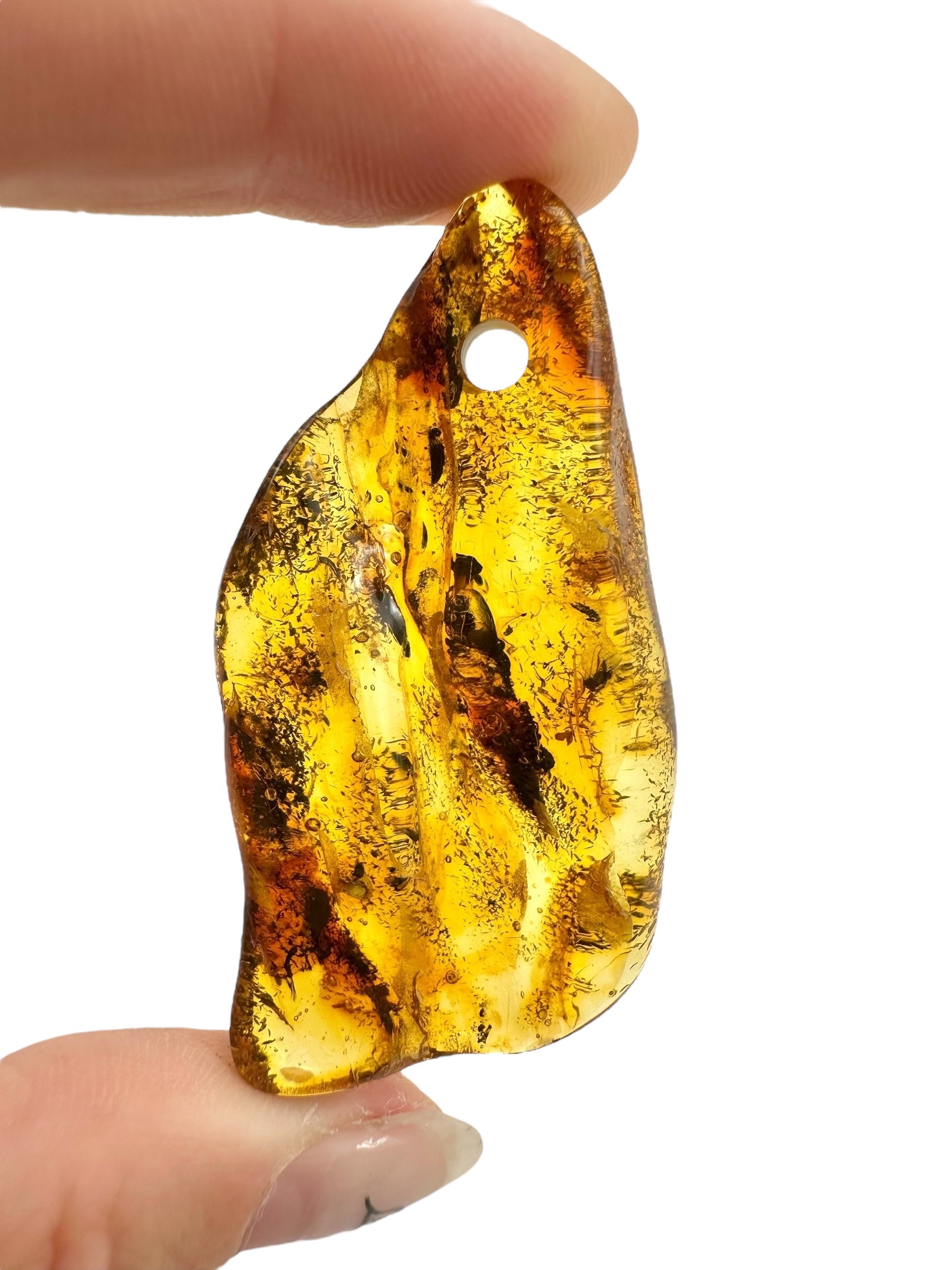 Insect in amber with a drilled hole for hanging 7,8g – Lithuania - IJD13