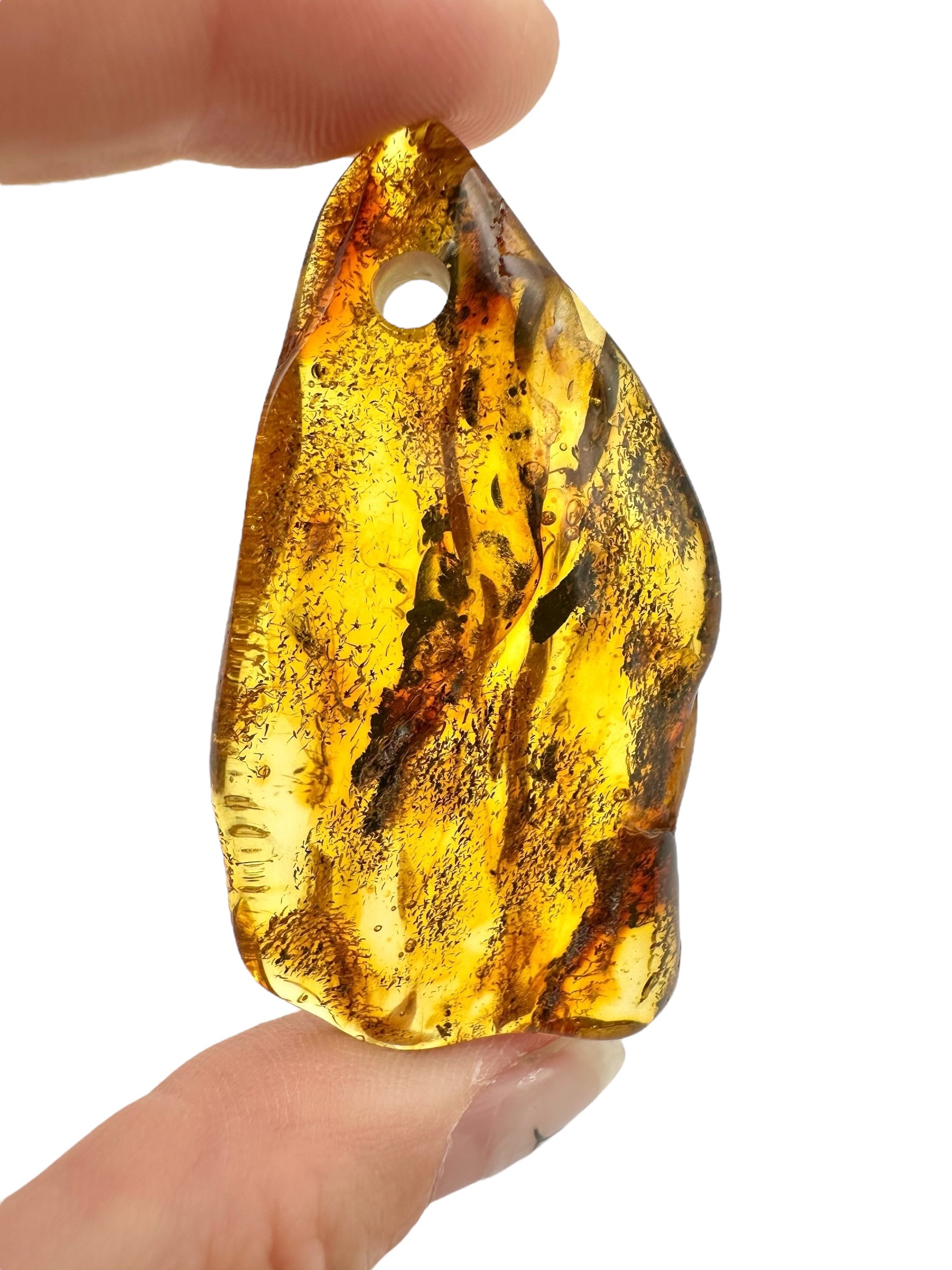 Insect in amber with a drilled hole for hanging 7,8g – Lithuania