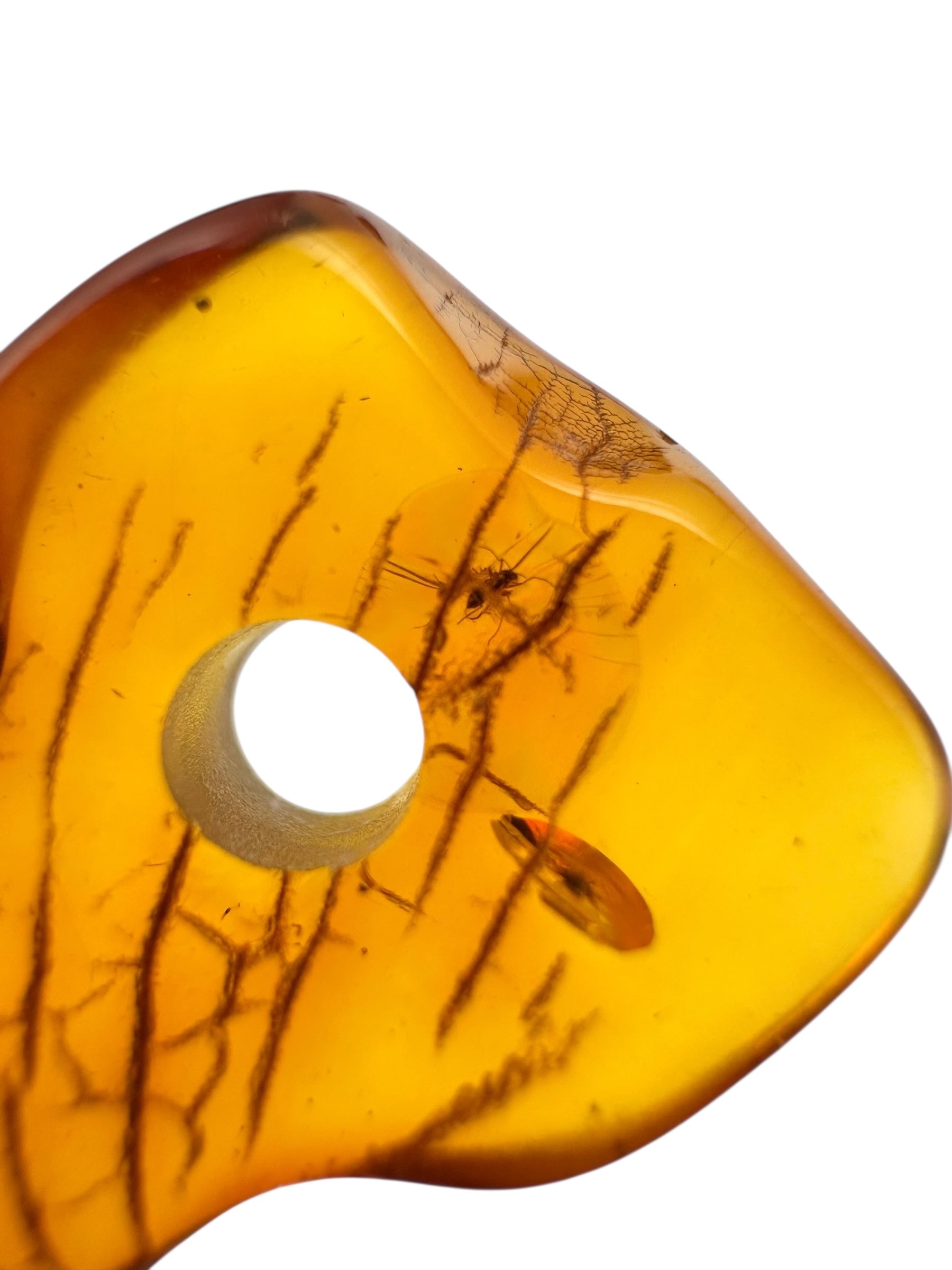 Insect in amber with a drilled hole for hanging 4g – Lithuania - IJD14