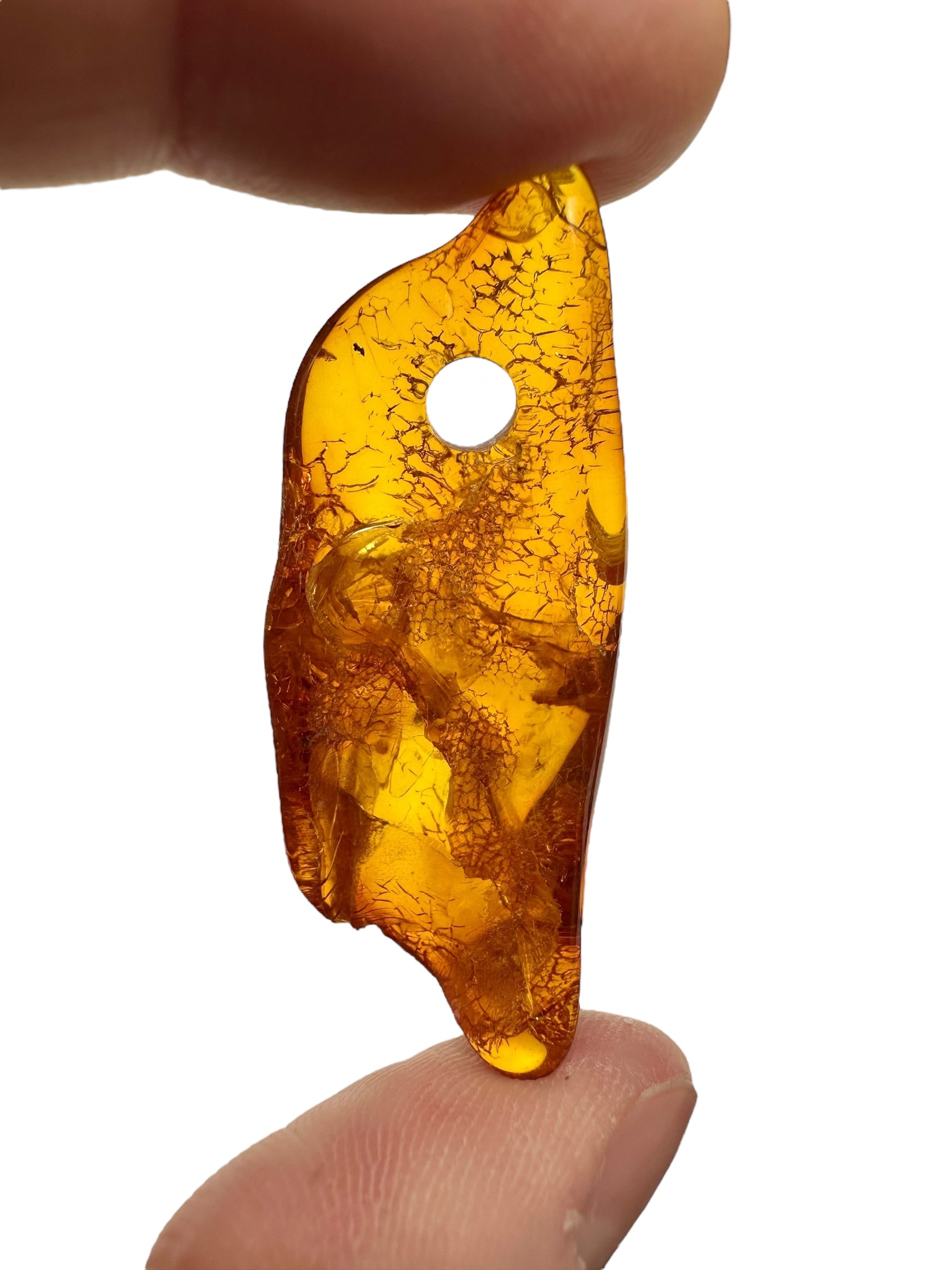Insect in amber with a drilled hole for hanging 3,6g – Lithuania - IJD16
