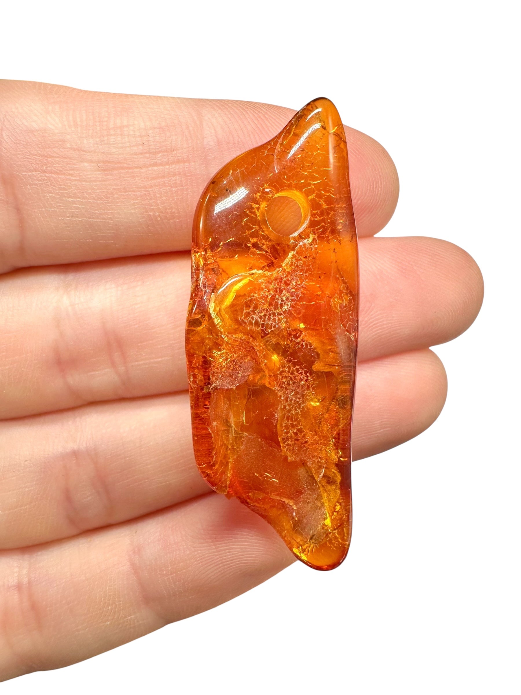 Insect in amber with a drilled hole for hanging 3,6g – Lithuania - IJD16