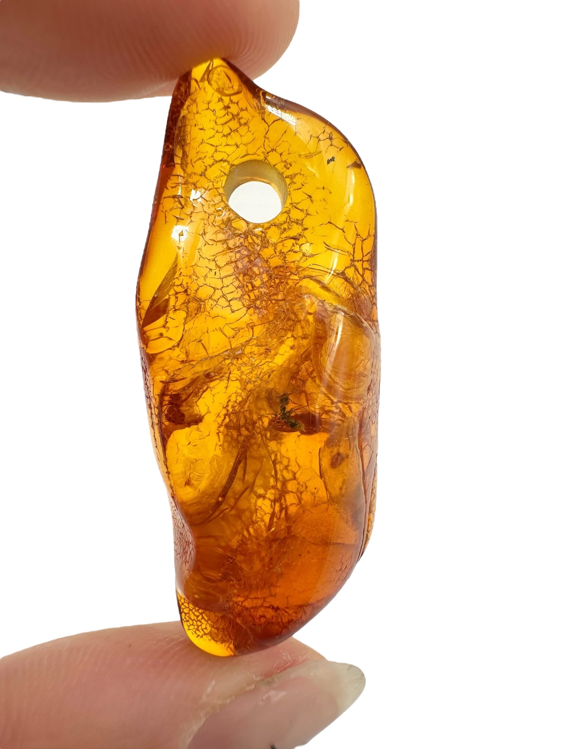 Insect in amber with a drilled hole for hanging 3,6g – Lithuania