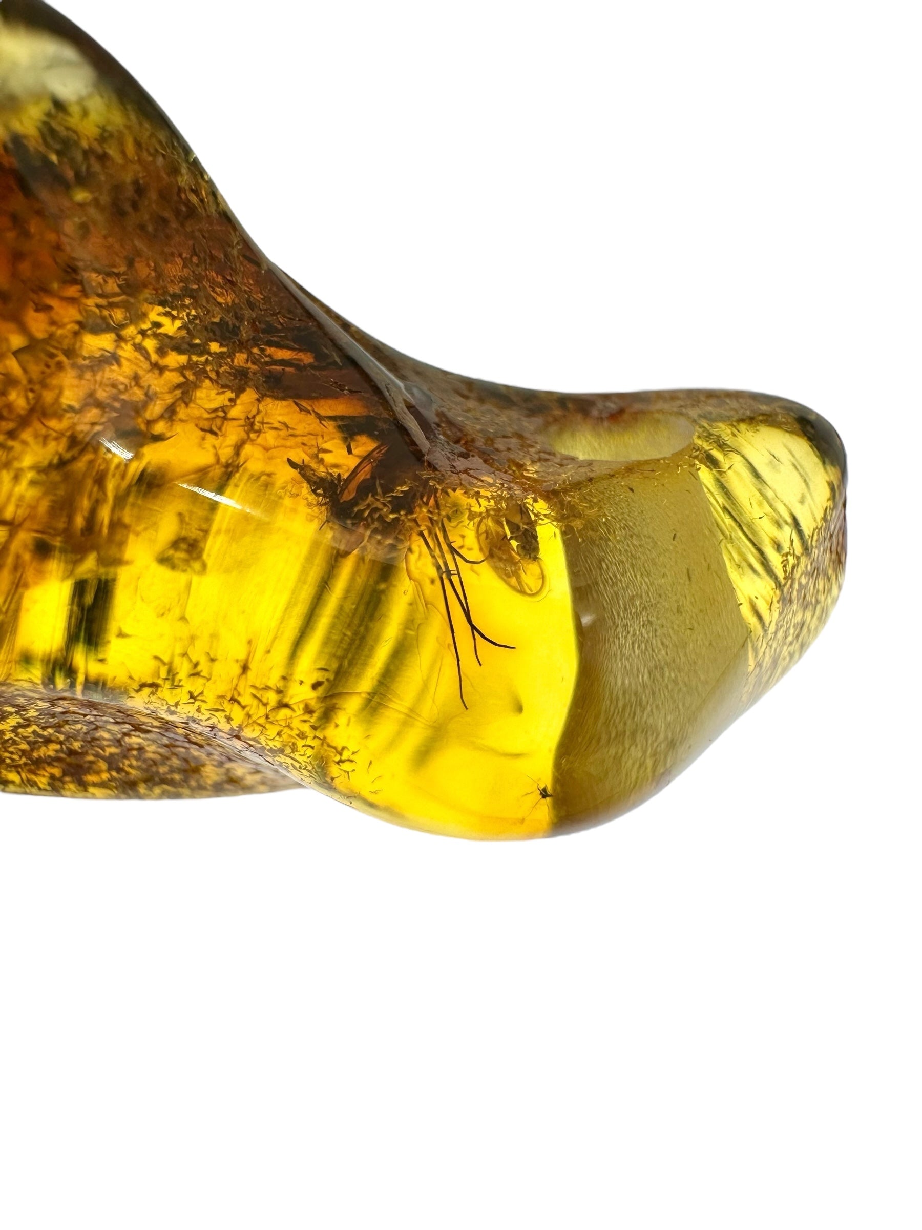 Insect in amber with a drilled hole for hanging 6,1g – Lithuania - IJD17