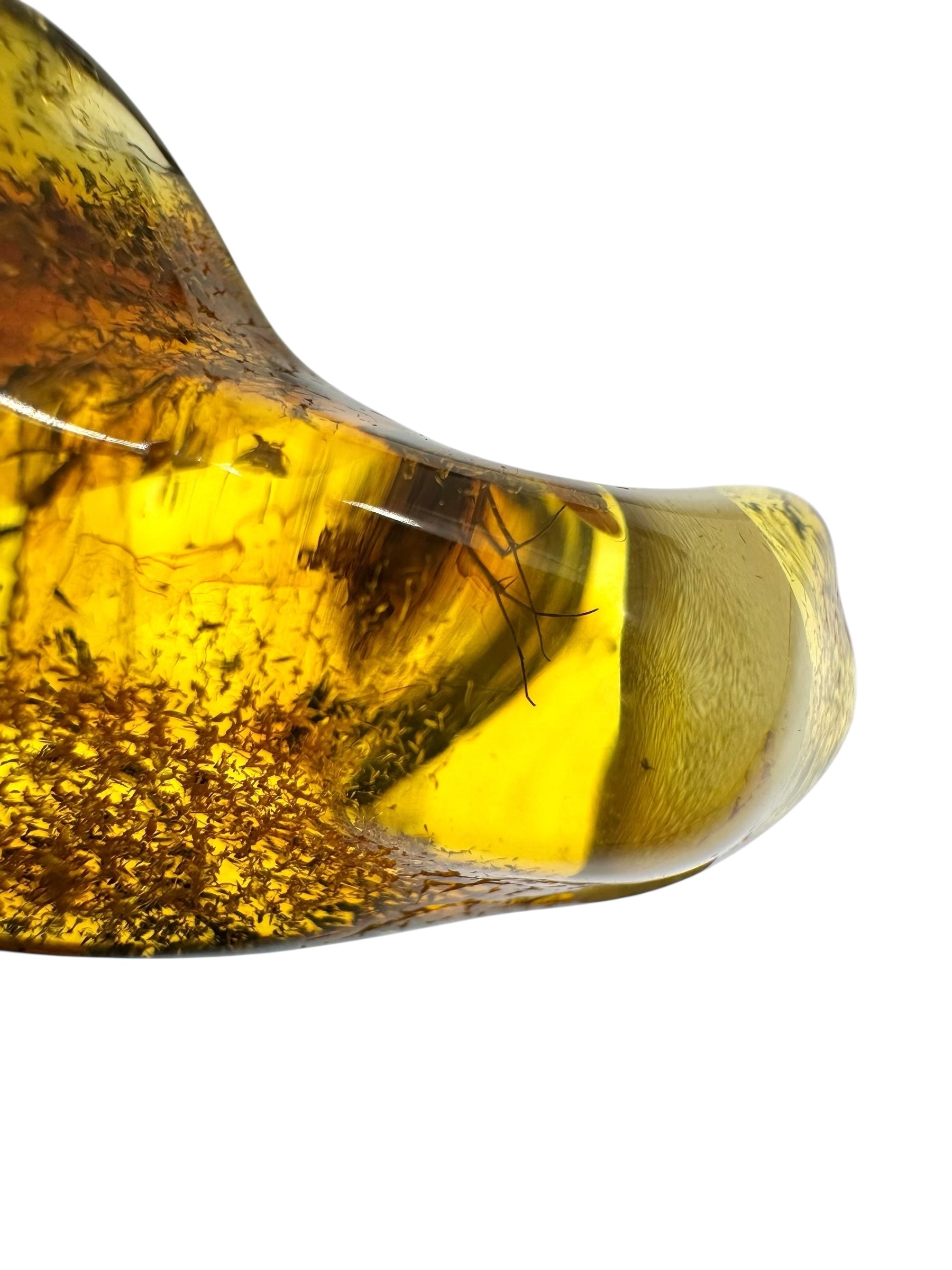 Insect in amber with a drilled hole for hanging 6,1g – Lithuania - IJD17
