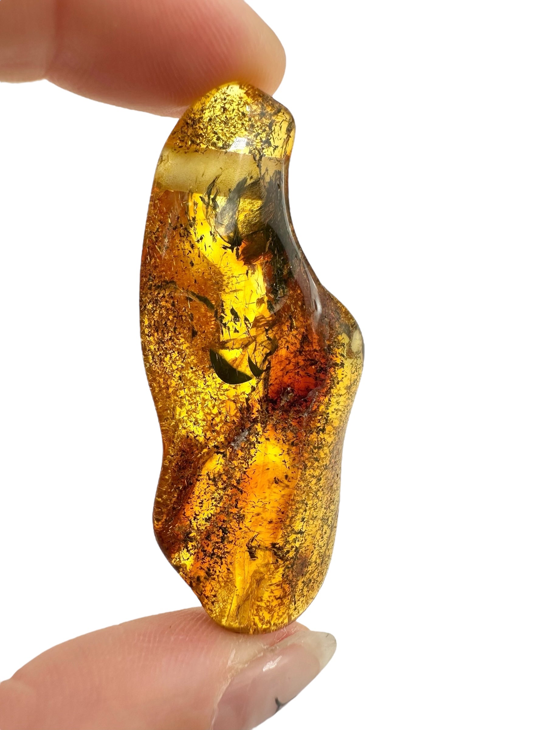 Insect in amber with a drilled hole for hanging 6,1g – Lithuania - IJD17