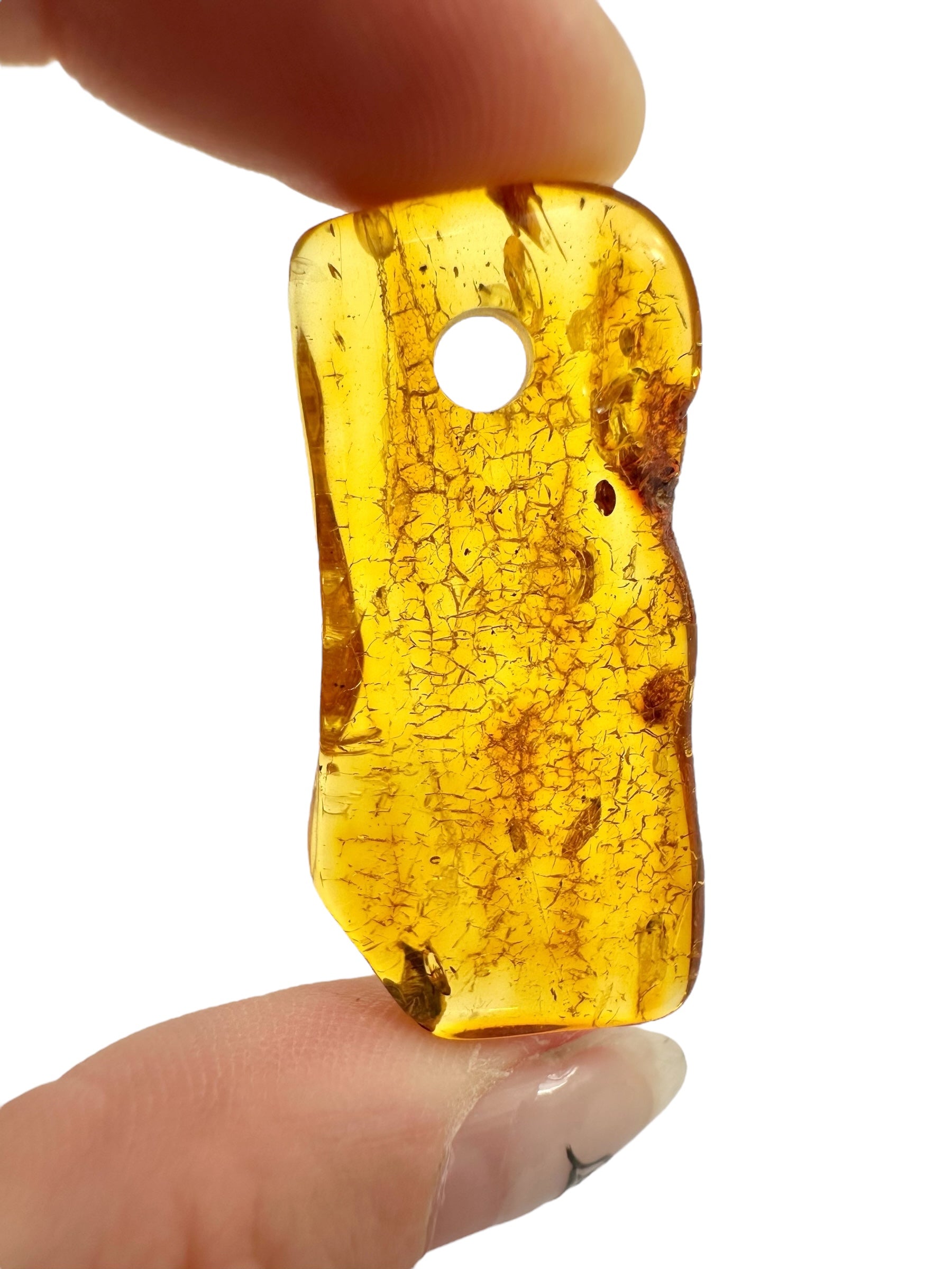 Insect in amber with a drilled hole for hanging 2,9g – Lithuania - IJD18