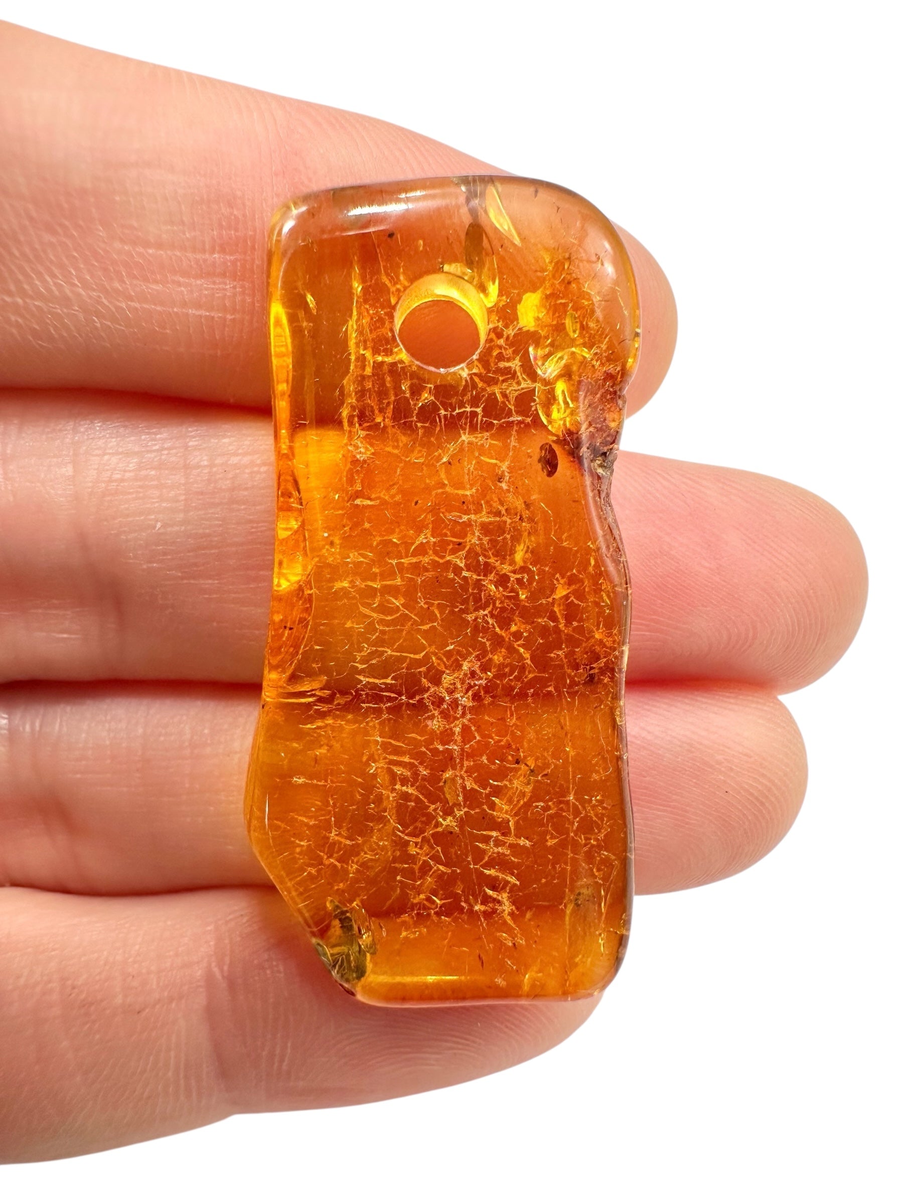 Insect in amber with a drilled hole for hanging 2,9g – Lithuania - IJD18