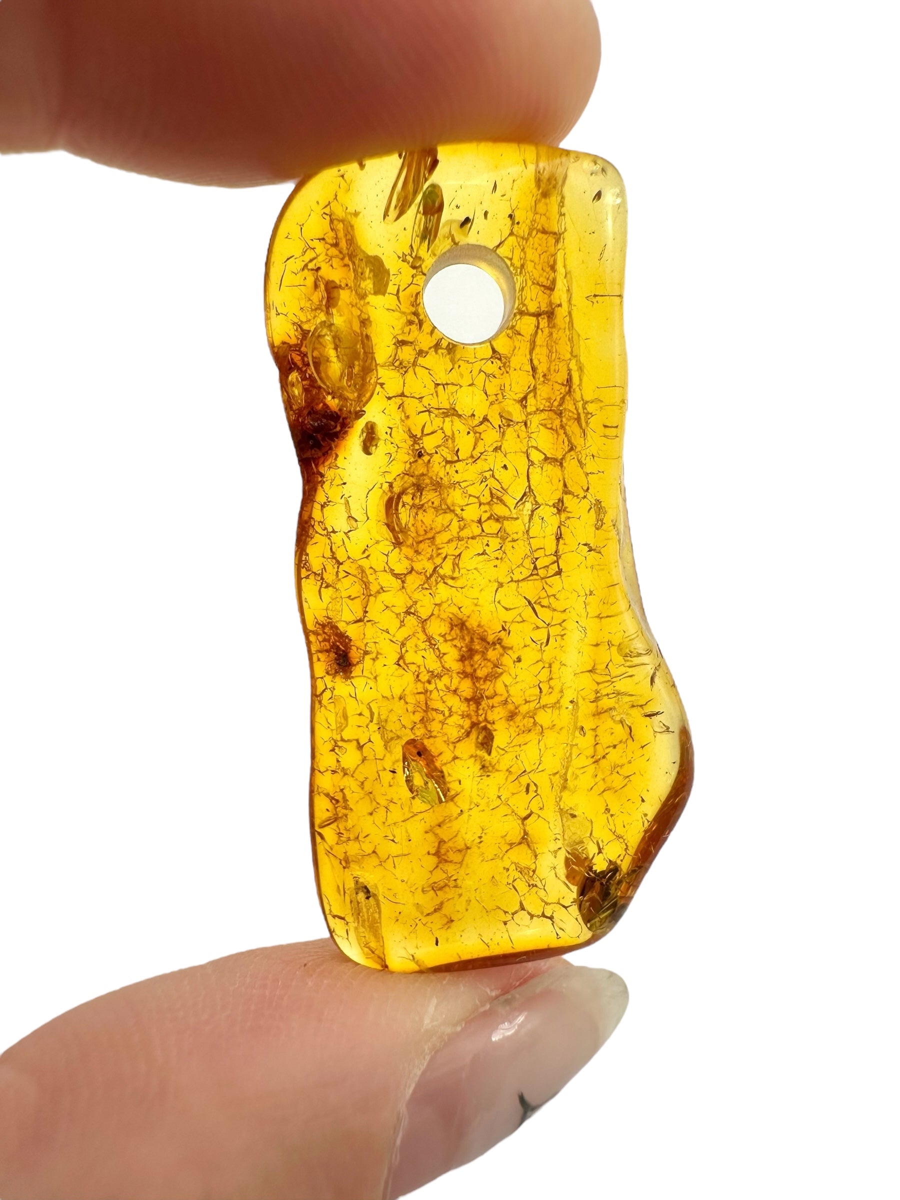 Insect in amber with a drilled hole for hanging 2,9g – Lithuania