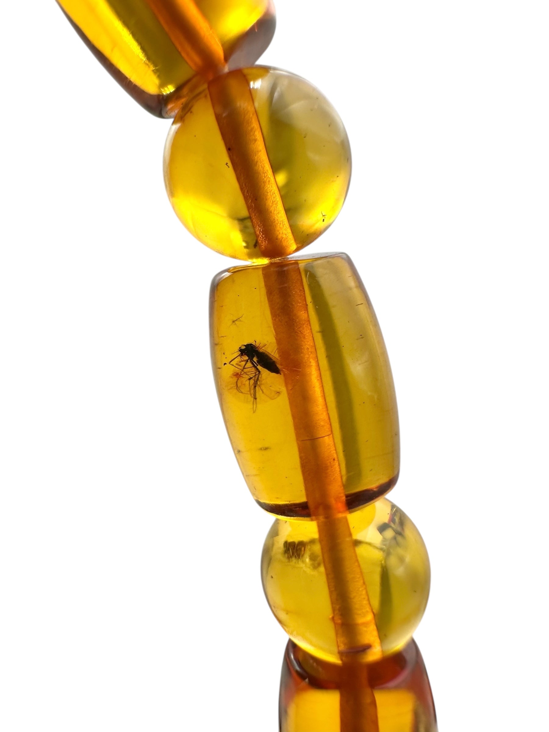 Bracelet made of polished genuine amber beads with insects / TOP - N/J006
