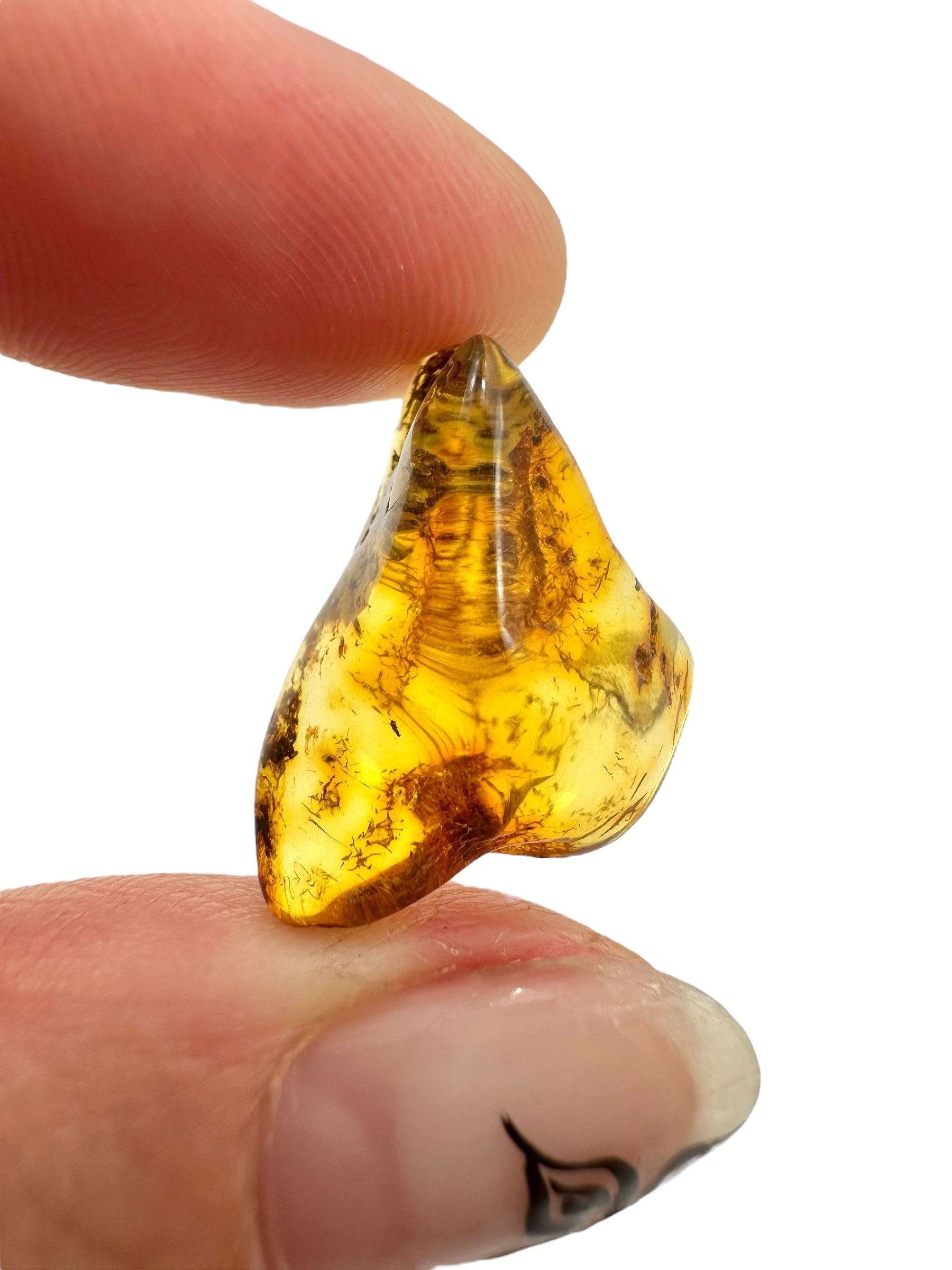 Amber 1,3g – Lithuania - JN464