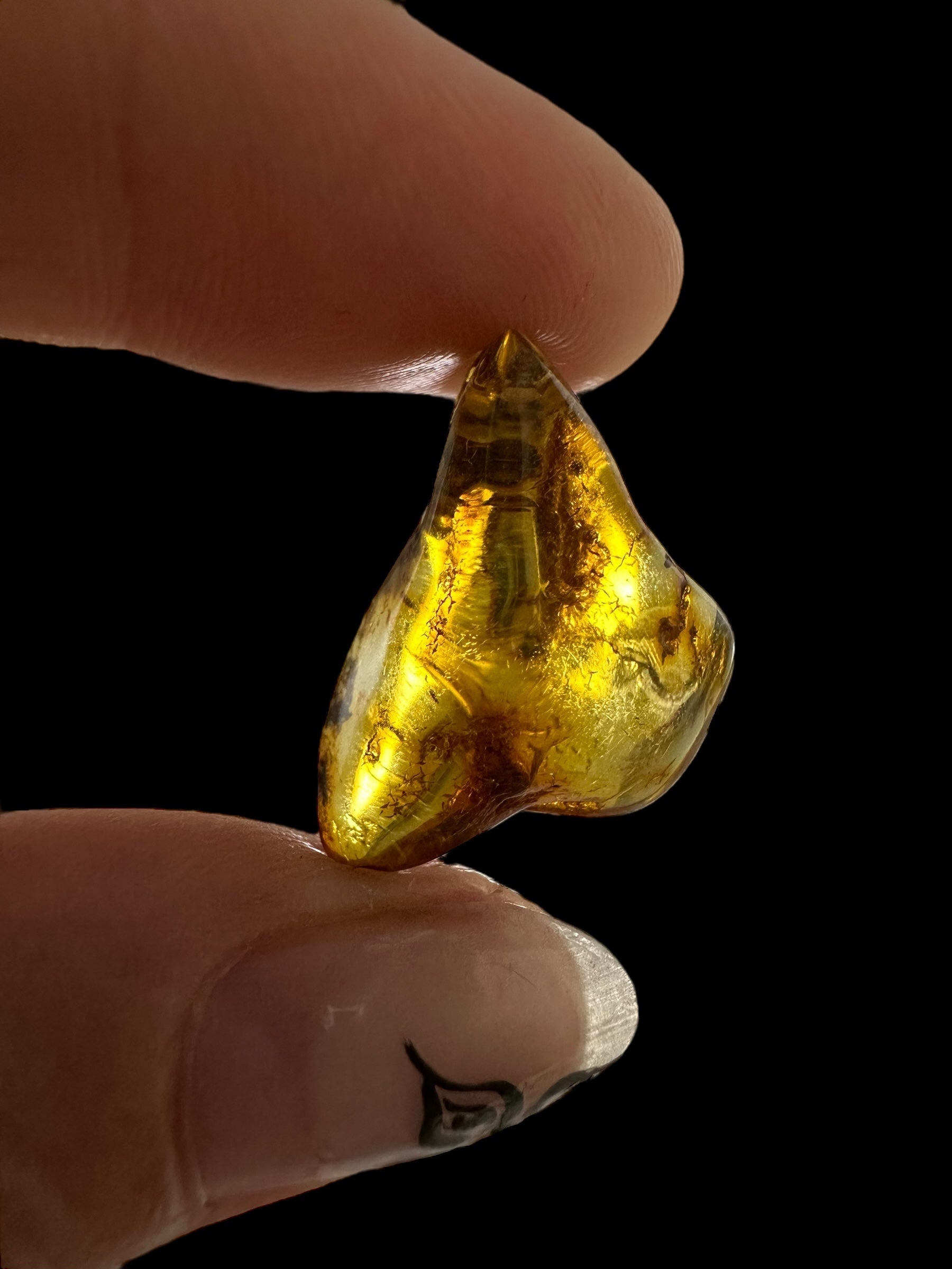 Amber 1,3g – Lithuania - JN464