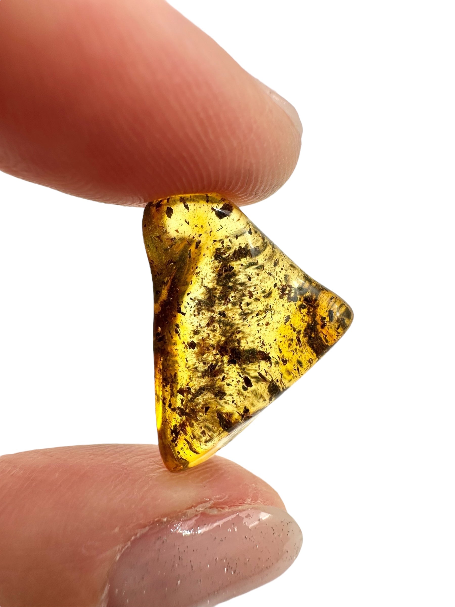 Amber 1,2g – Lithuania - JN468