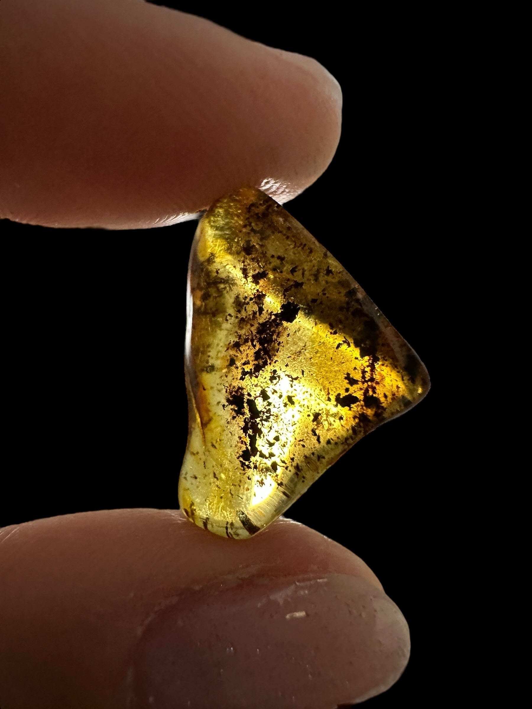 Amber 1,2g – Lithuania - JN468