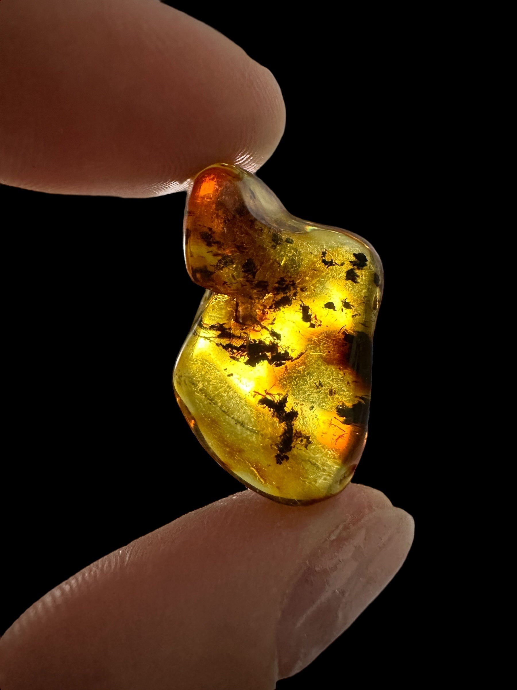 Amber 1,9g – Lithuania - JN470