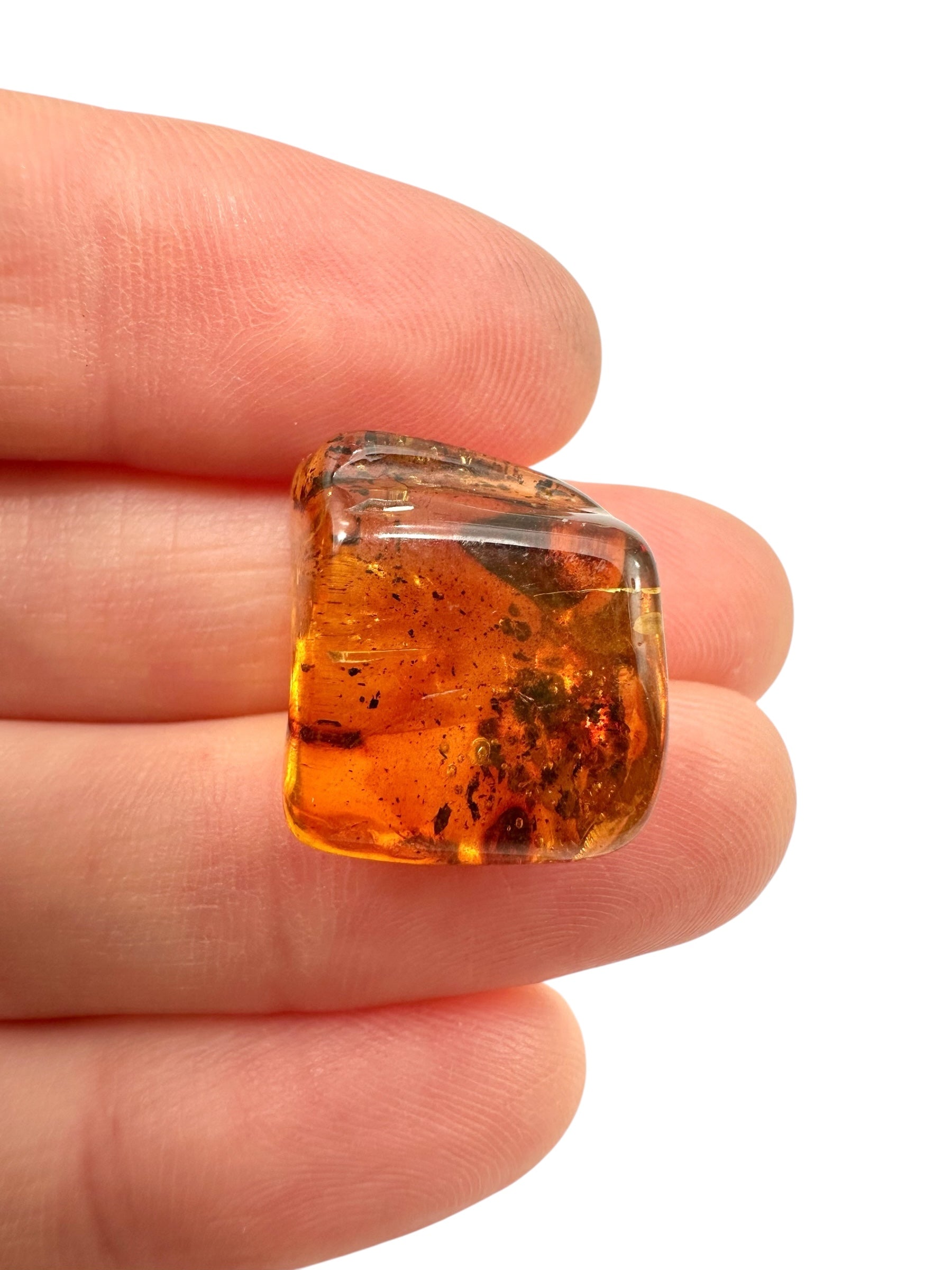 Amber 1,4g – Lithuania - JN472