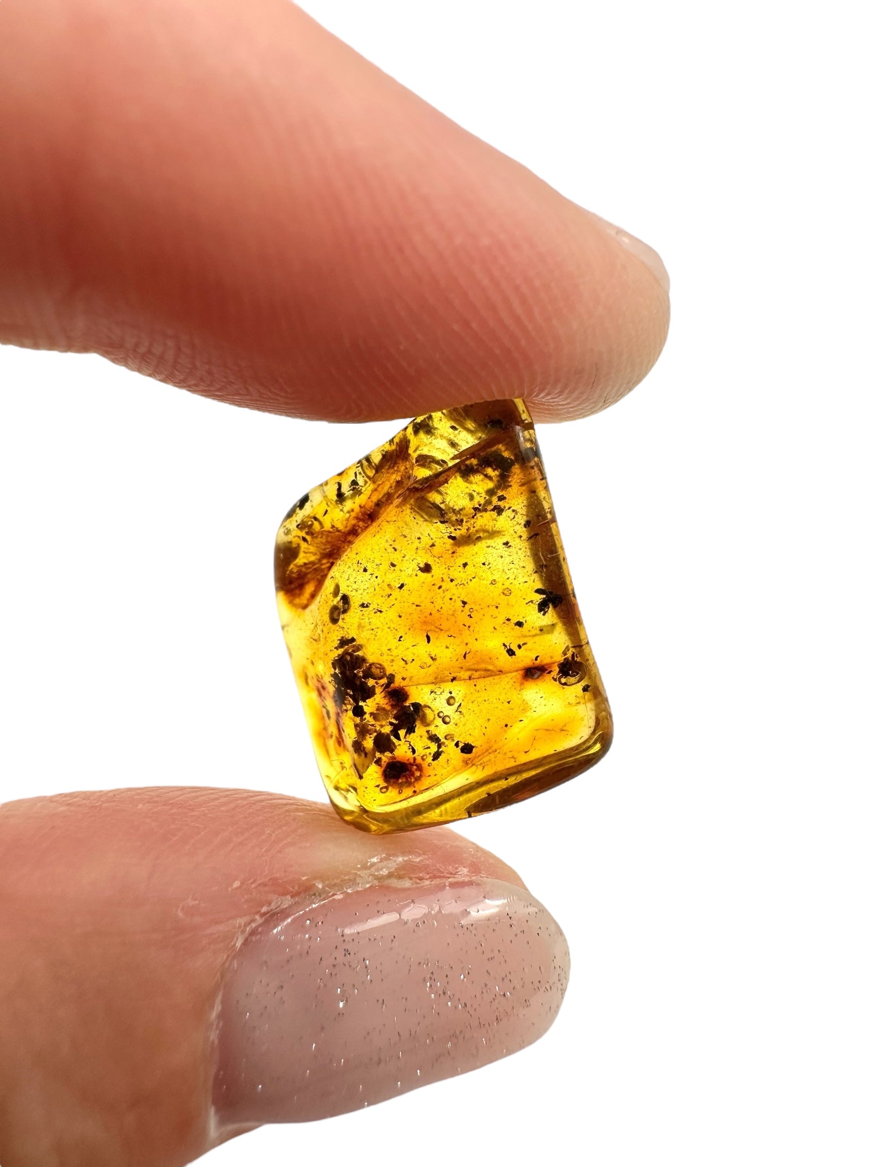 Amber 1,4g – Lithuania - JN472