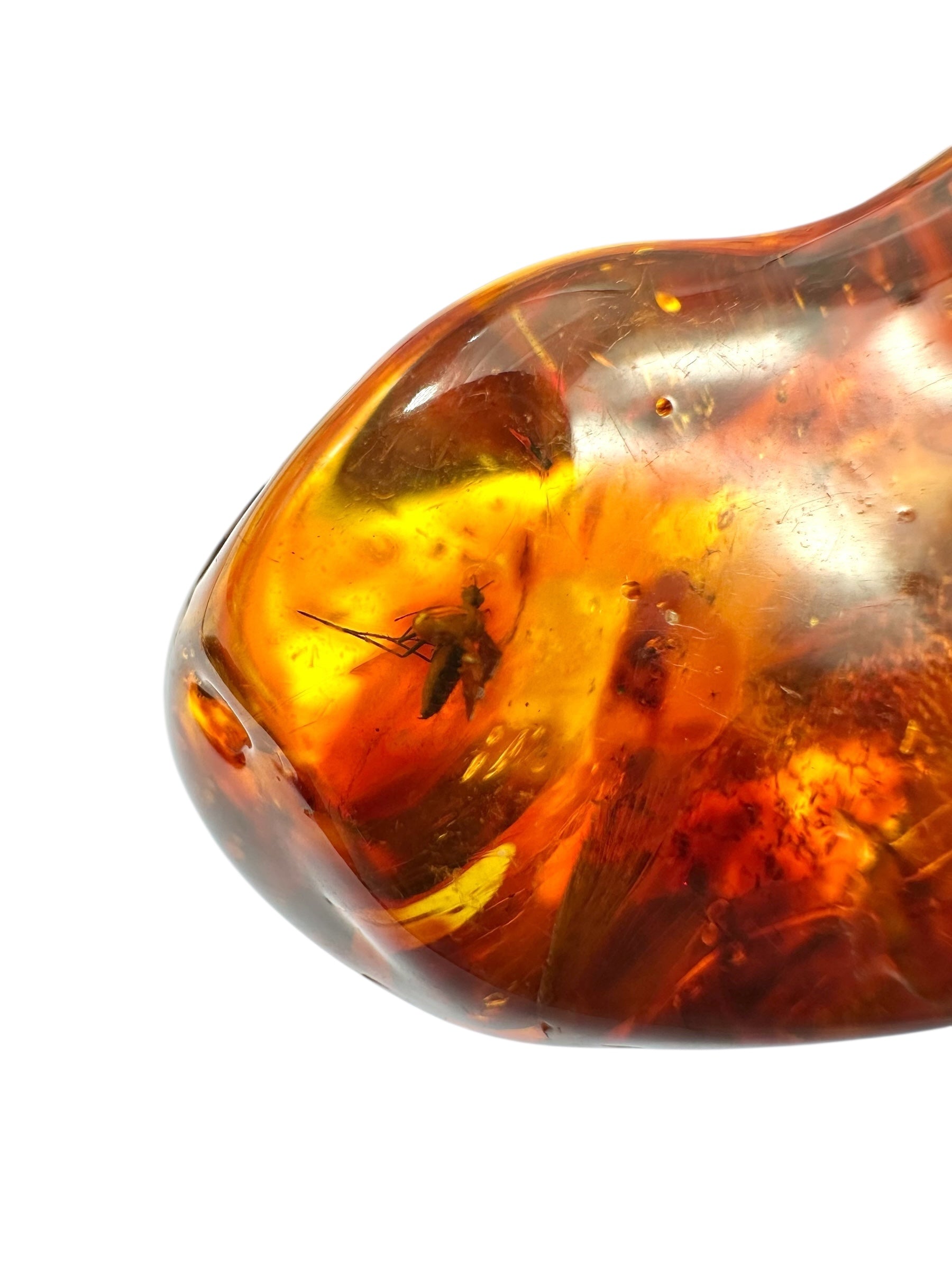 Insects in amber – Lithuania – 17,4g - IJ110