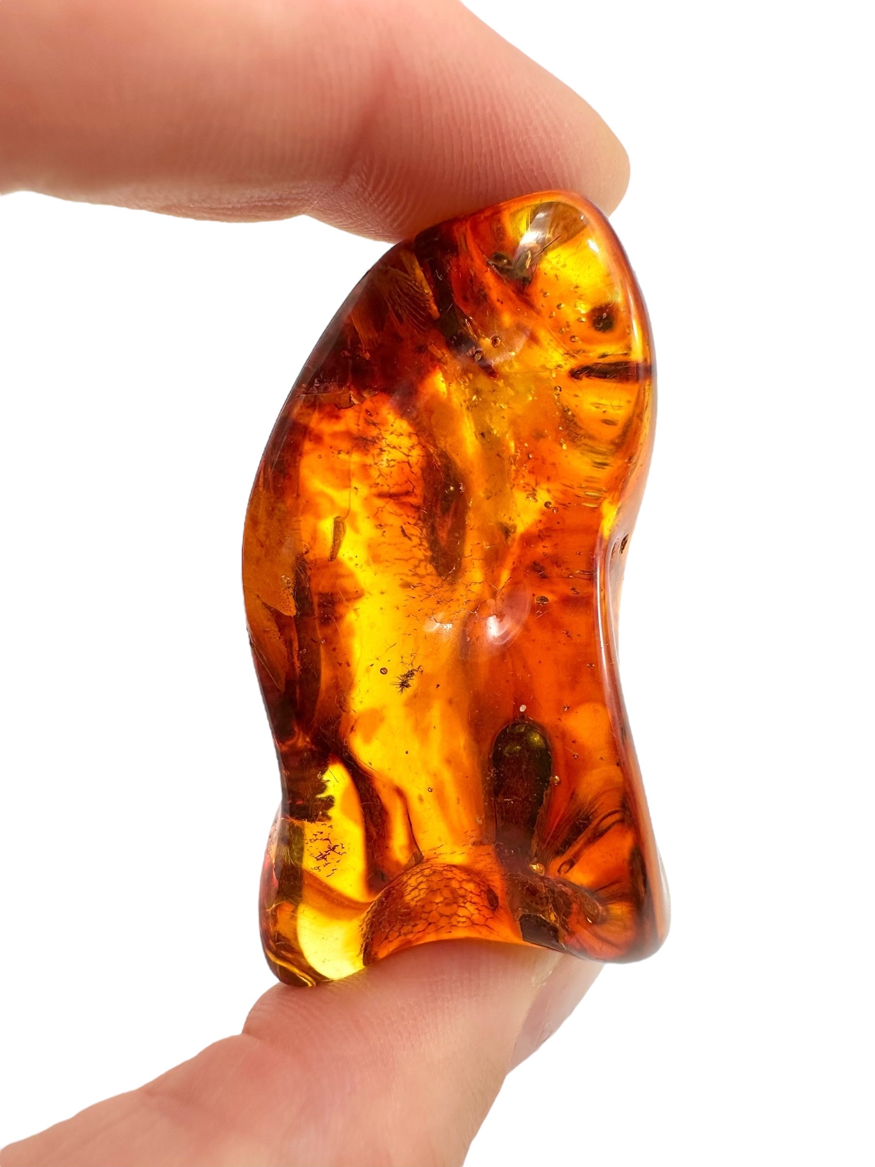 Insects in amber – Lithuania – 17,4g