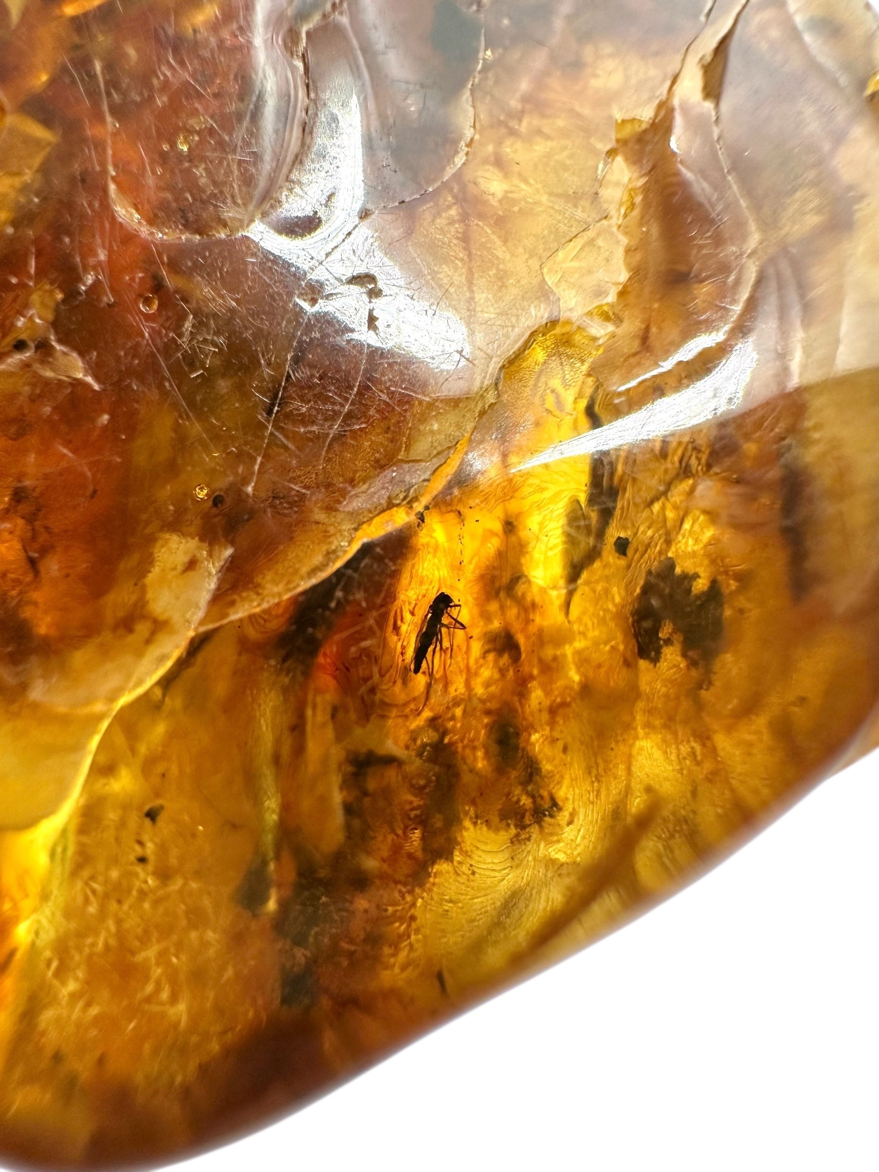 Insects in amber – Lithuania – 18,5g - IJ111