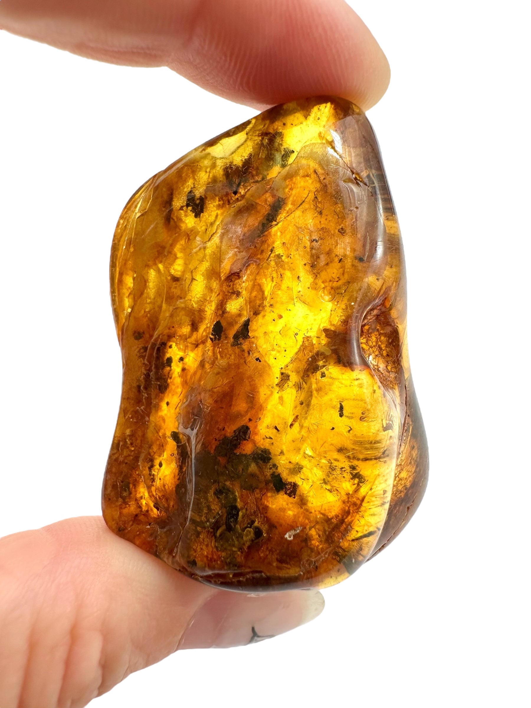 Insects in amber – Lithuania – 18,5g