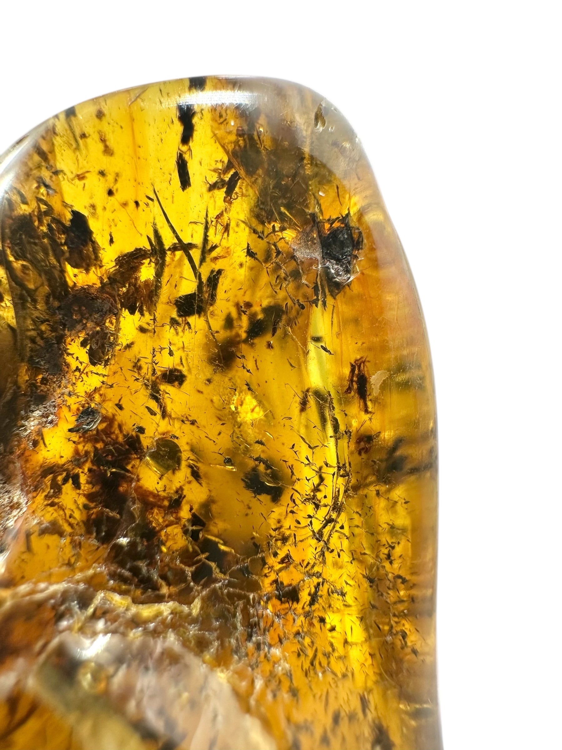 Insects in amber – Lithuania – 26,4g – extra inclusions - IJ112