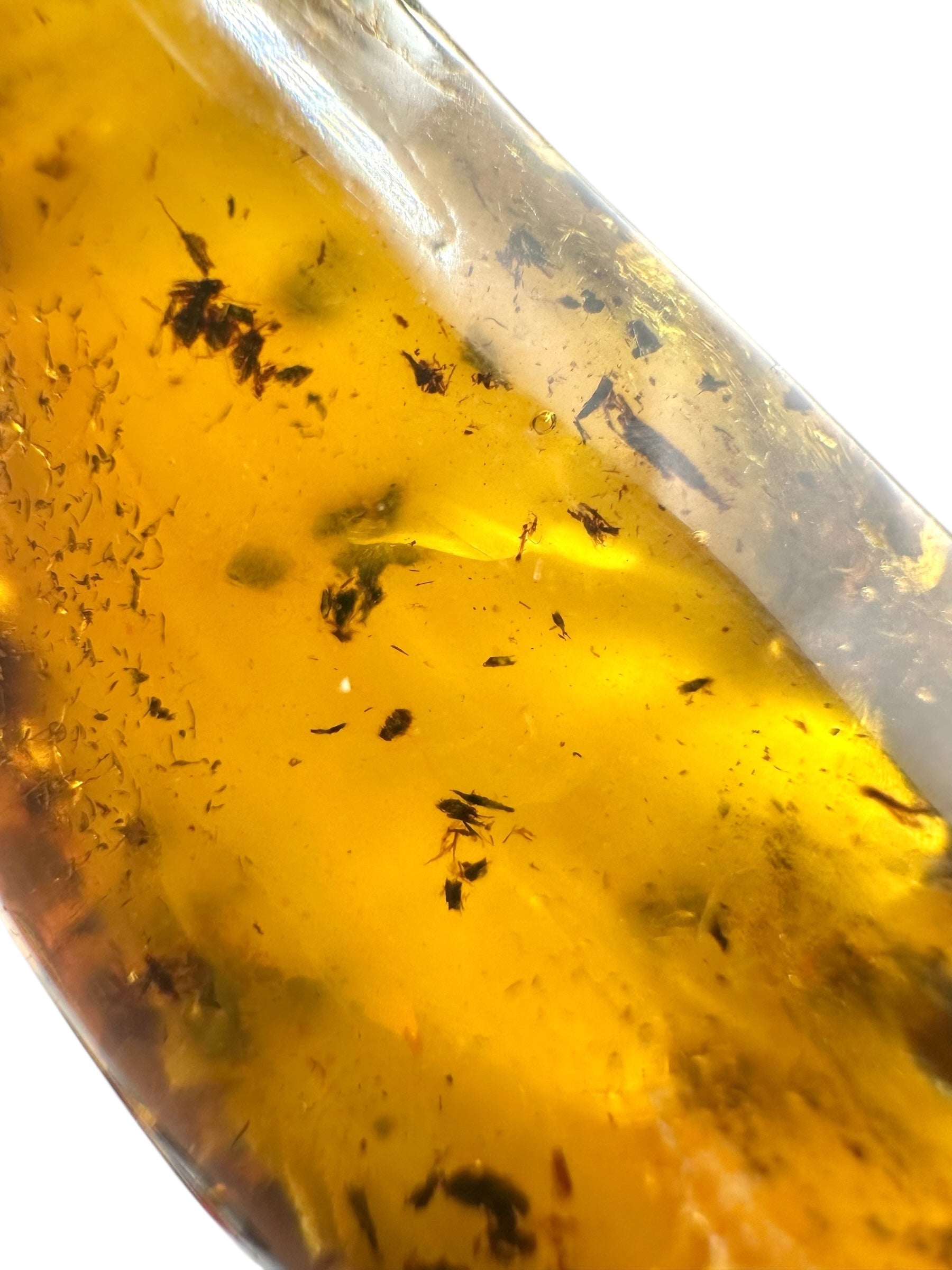 Insects in amber – Lithuania – 26,4g – extra inclusions - IJ112