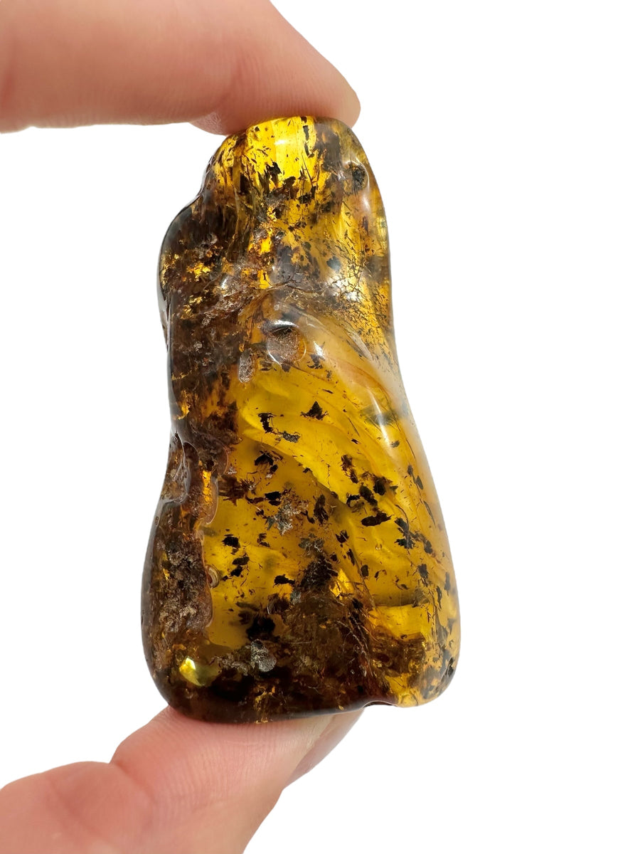 Ambra grezza della Lituania color miele con inclusioni scure di materiale vegetale
