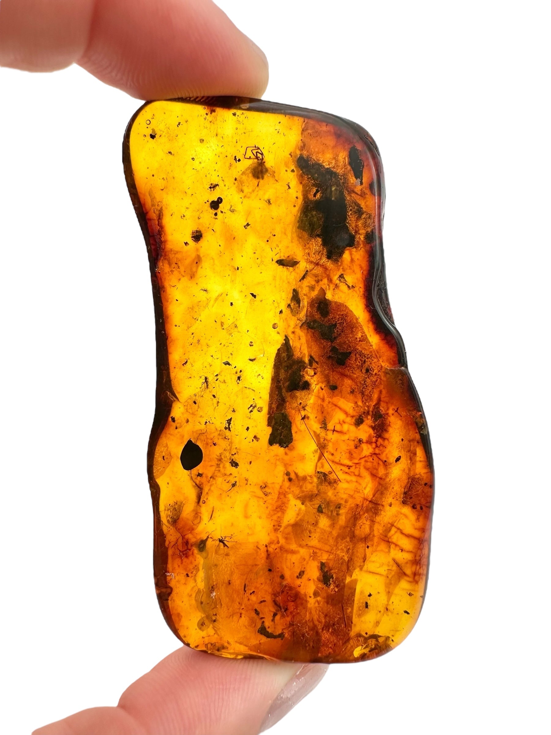 Insects in amber 15,2g – Lithuania - IJ113