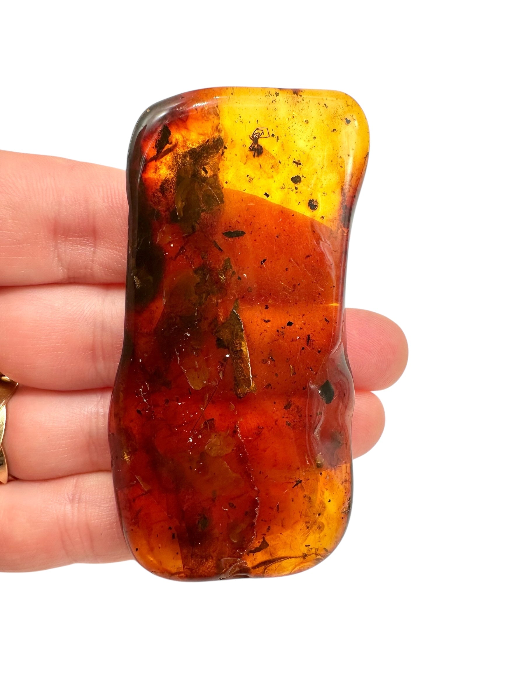 Insects in amber 15,2g – Lithuania - IJ113