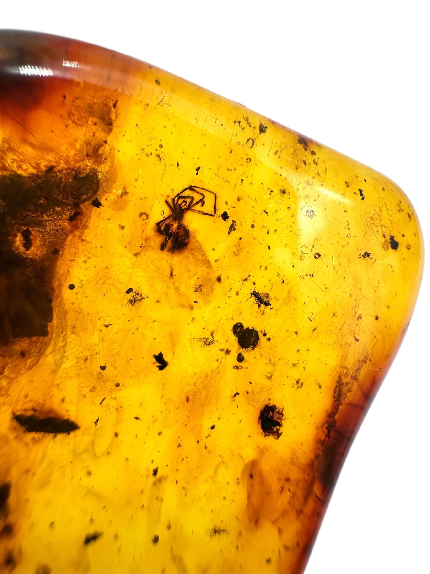 Insects in amber 15,2g – Lithuania - IJ113