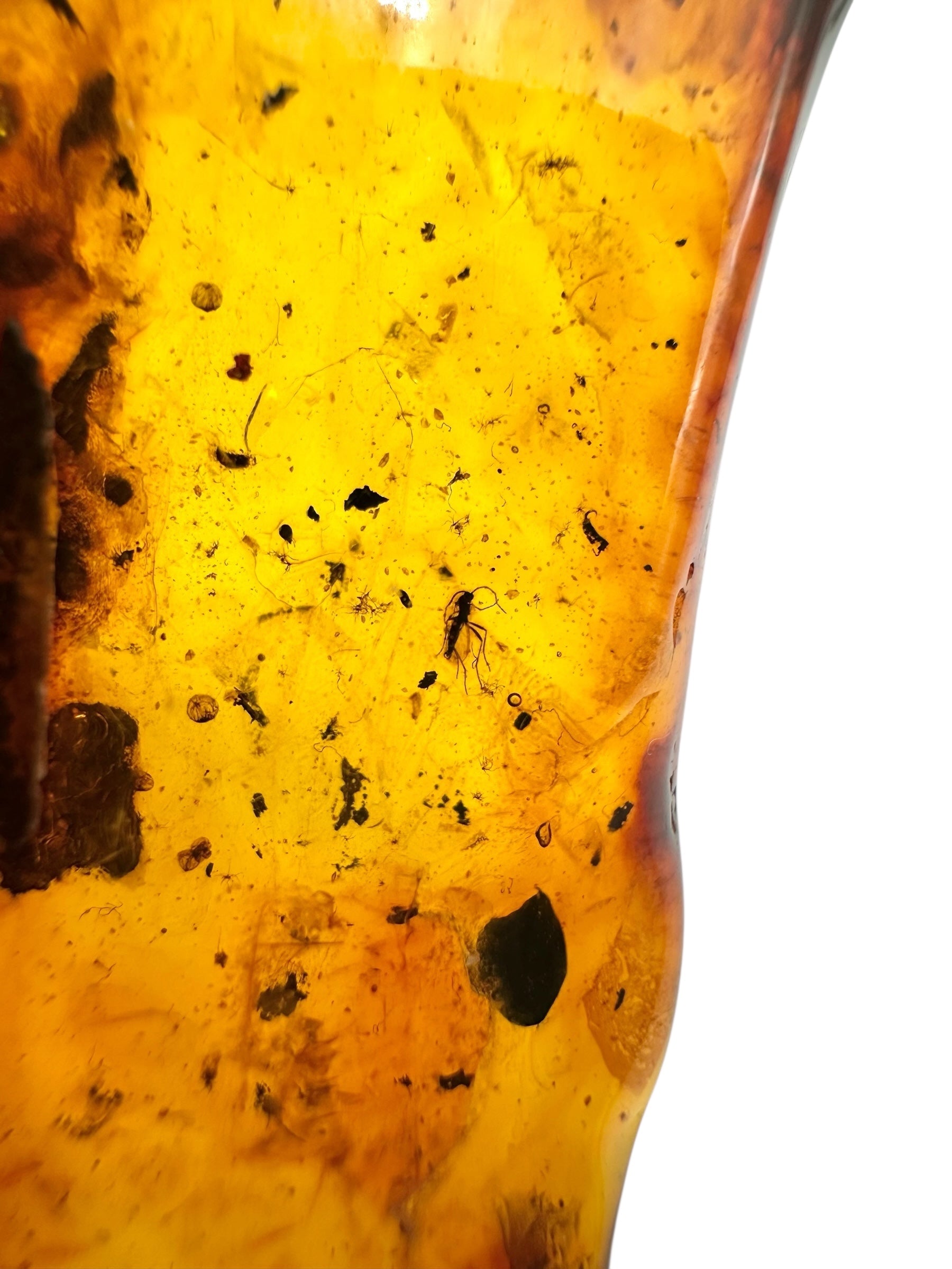 Insects in amber 15,2g – Lithuania - IJ113