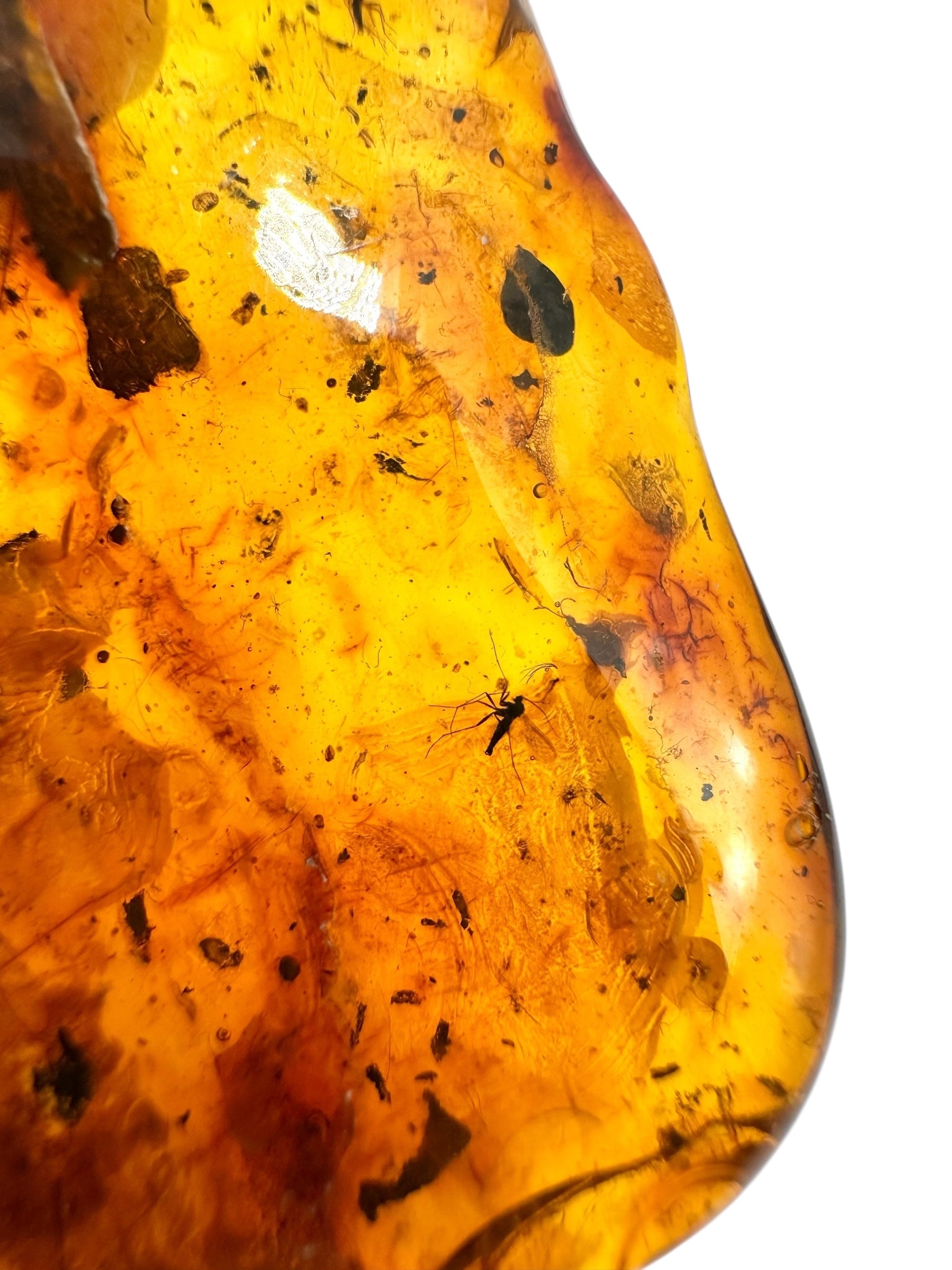 Insects in amber 15,2g – Lithuania - IJ113