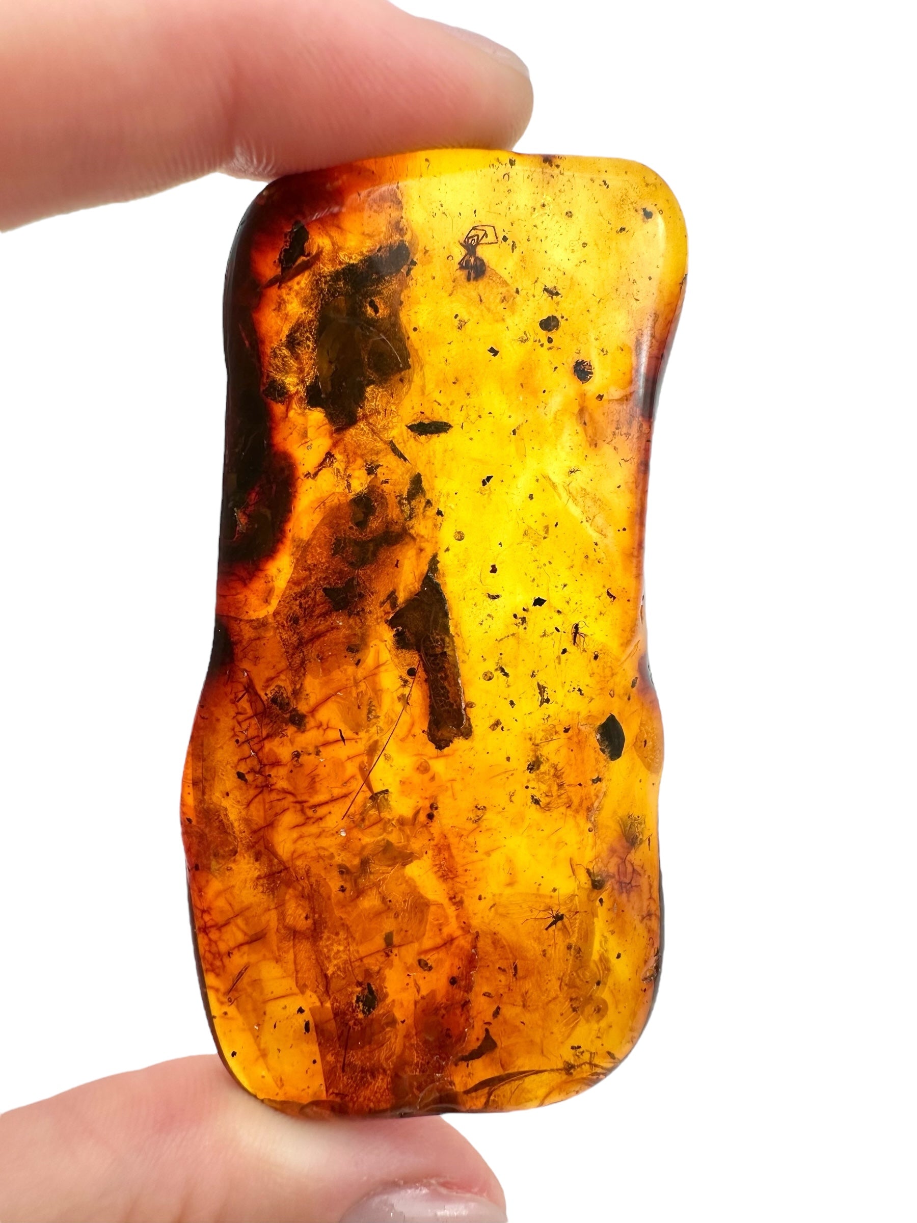 Insects in amber 15,2g – Lithuania