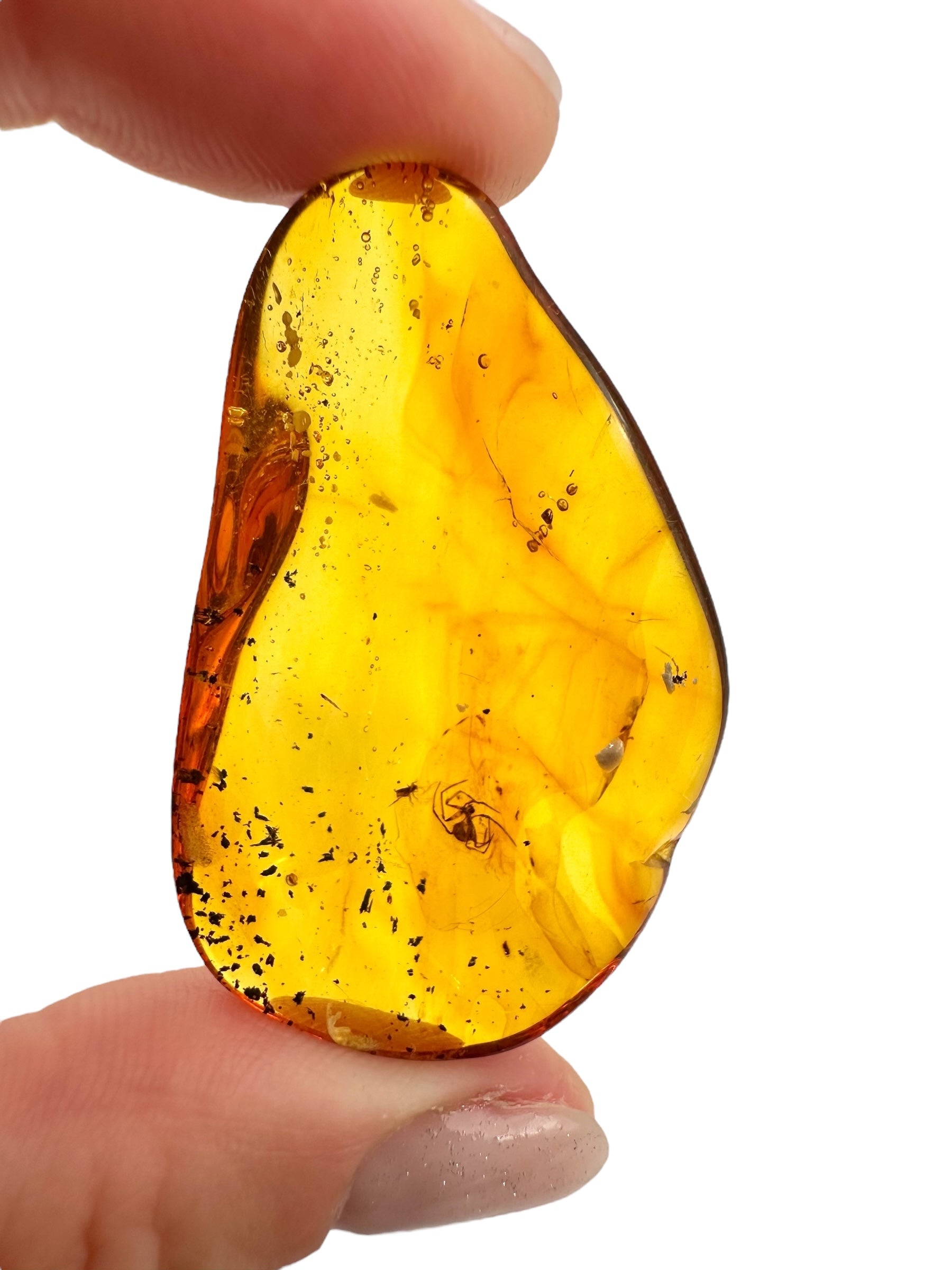 Insects in amber 5,1g – Lithuania - IJ114