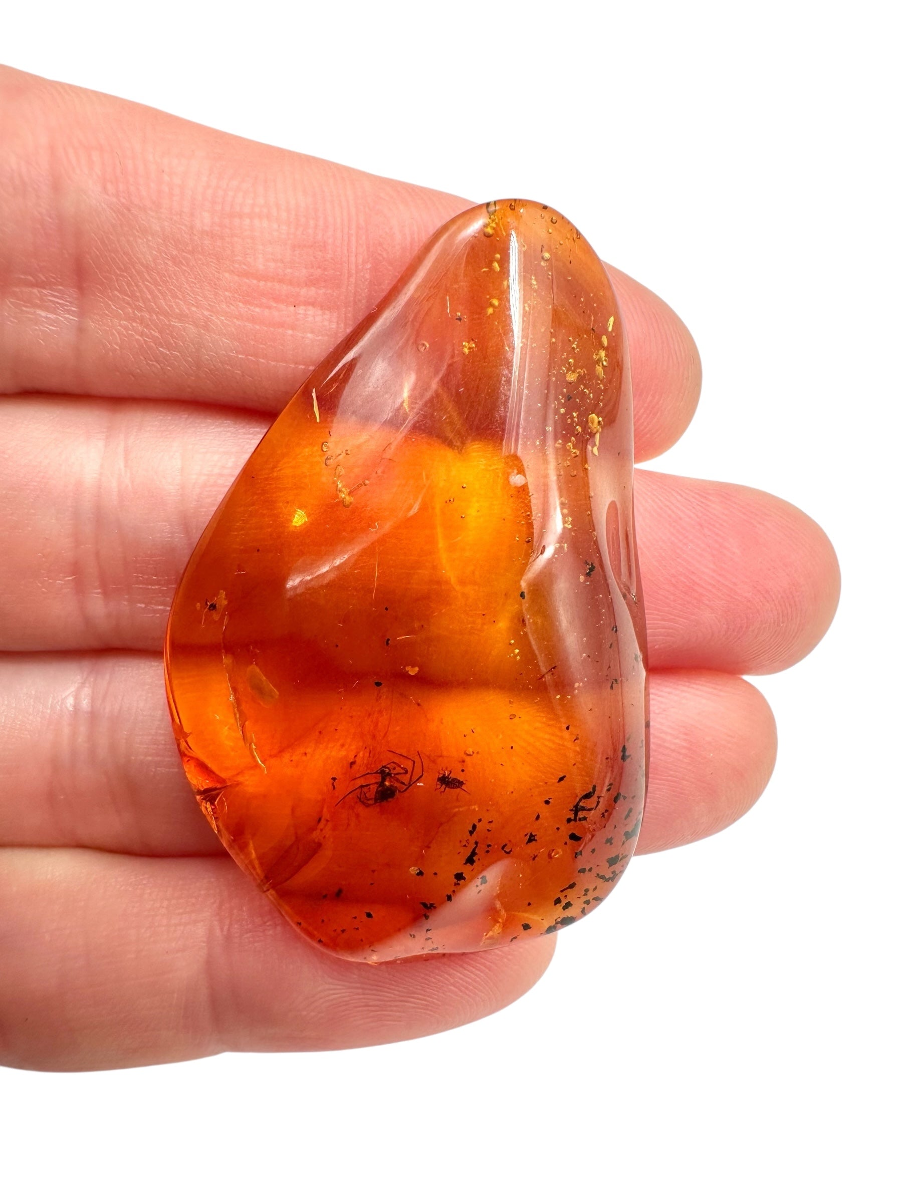 Insects in amber 5,1g – Lithuania - IJ114