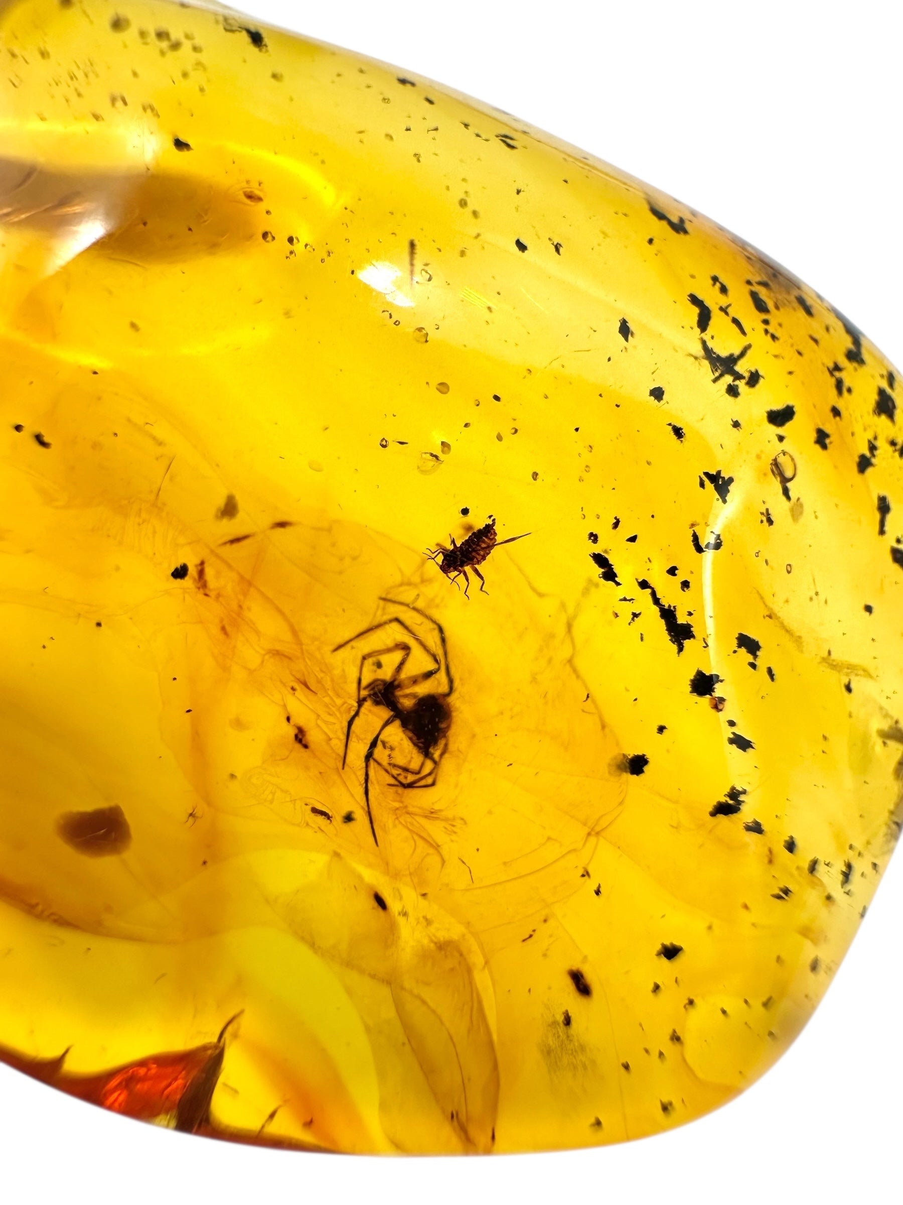 Insects in amber 5,1g – Lithuania