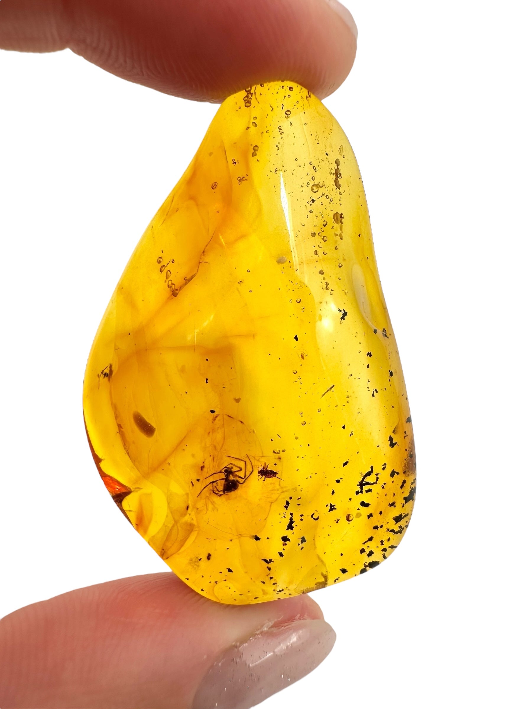 Insects in amber 5,1g – Lithuania - IJ114