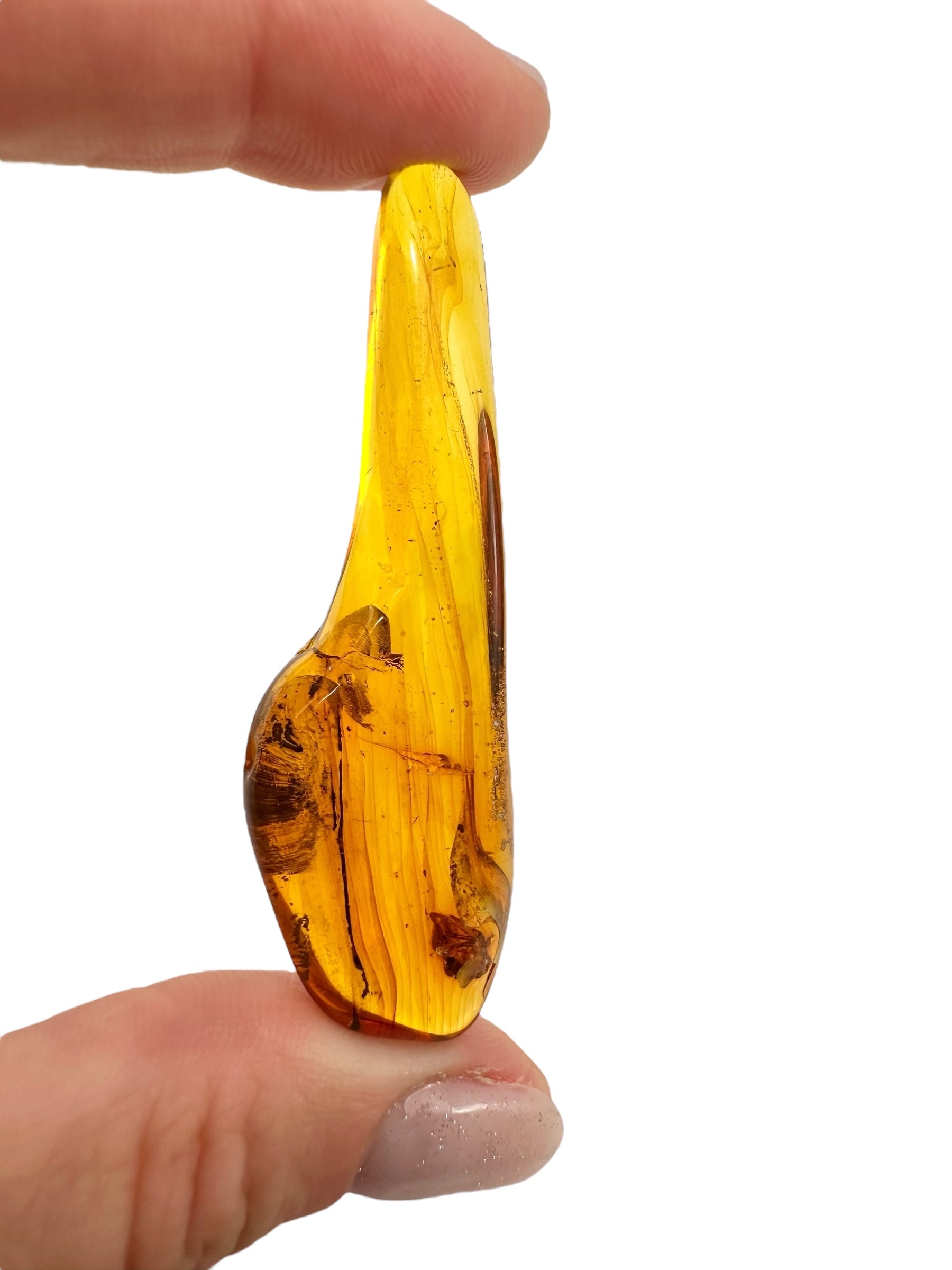 Insects in amber 5,1g – Lithuania - IJ115