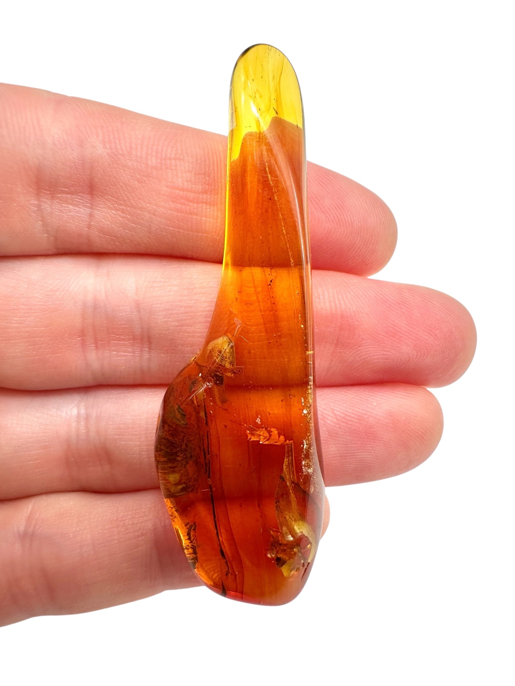 Insects in amber 5,1g – Lithuania - IJ115